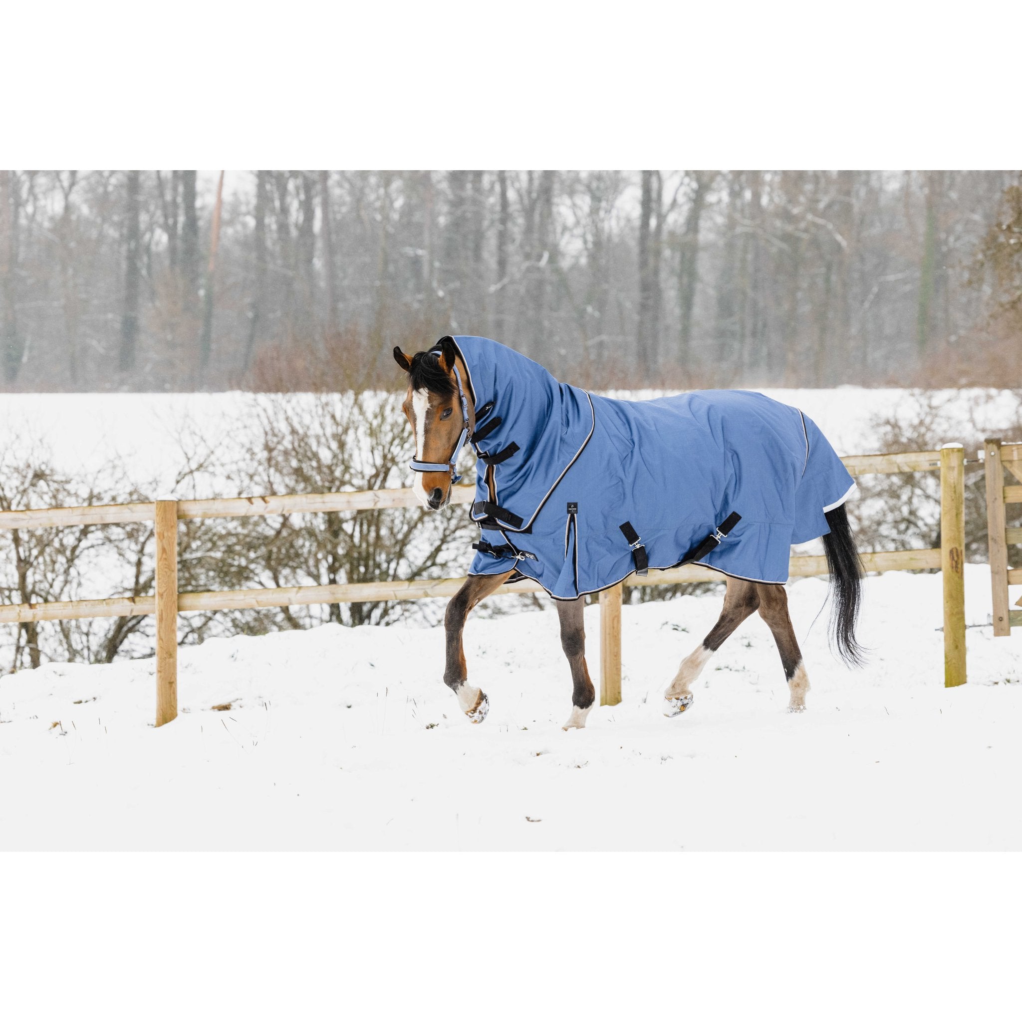 EQUITHEME Tyrex COBALT Neck Cover Blue - 400050061_ambi_5