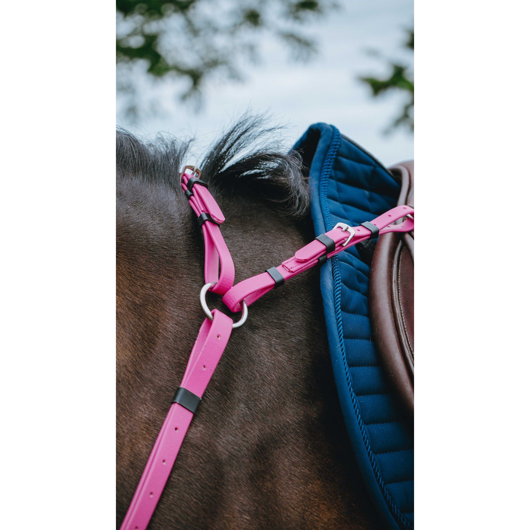 Norton Pop Breastplate Pink 306617313