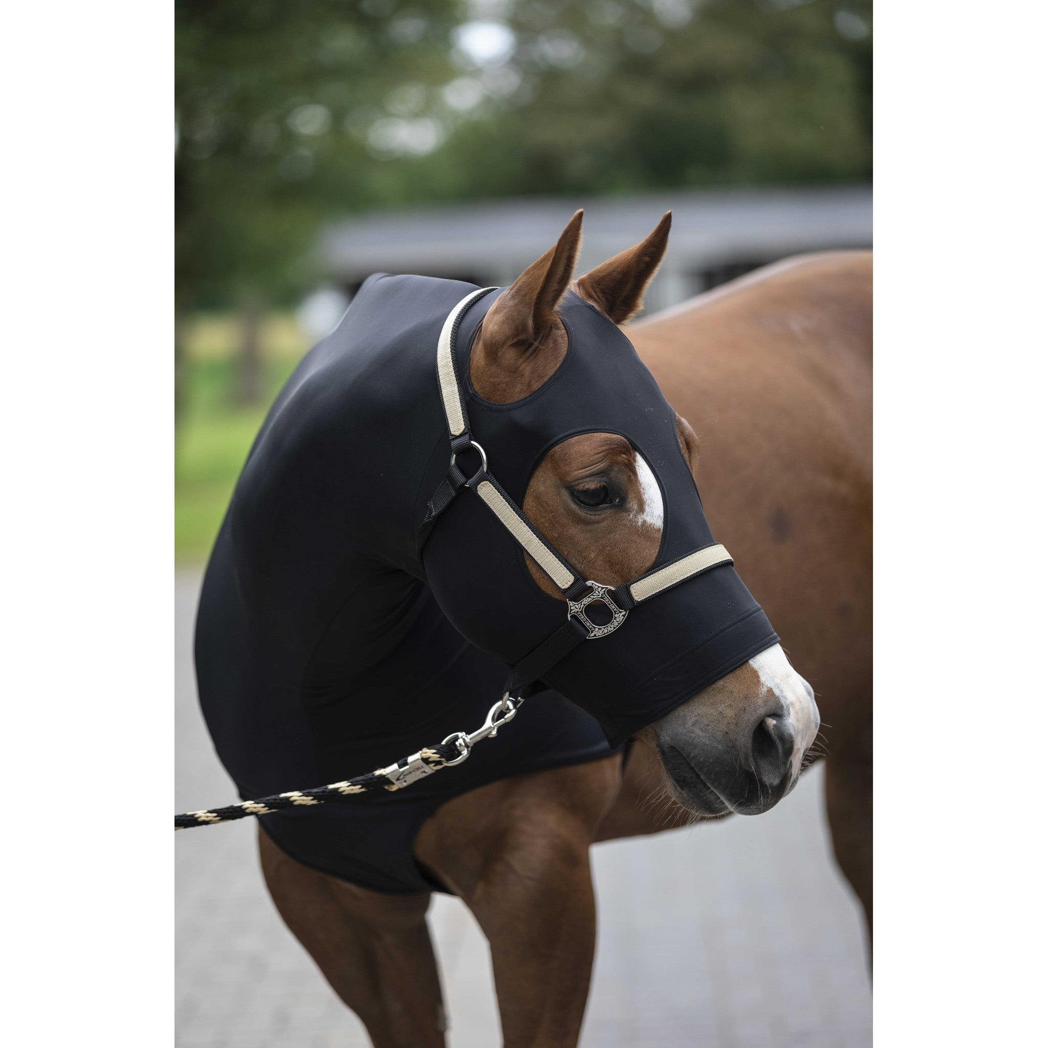 Lami-Cell Lycra Head and Neck Protection Black 400406202