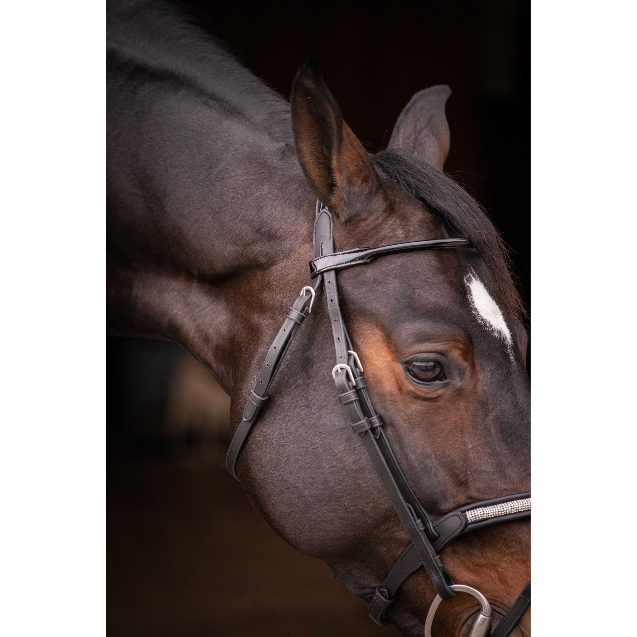 Pénélope Symphonie Bridle Black 301612302