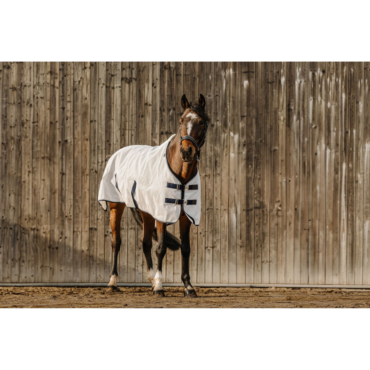 EQUITHÈME PVC Anti-UV Sheet - White - 400352063_ambi_1