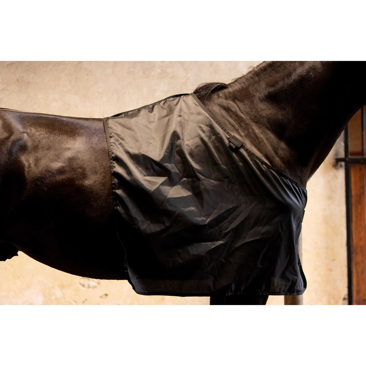 K by EQUITHÈME K-Pure Skin Shoulder Protection - Black - 400407003_ambi_2