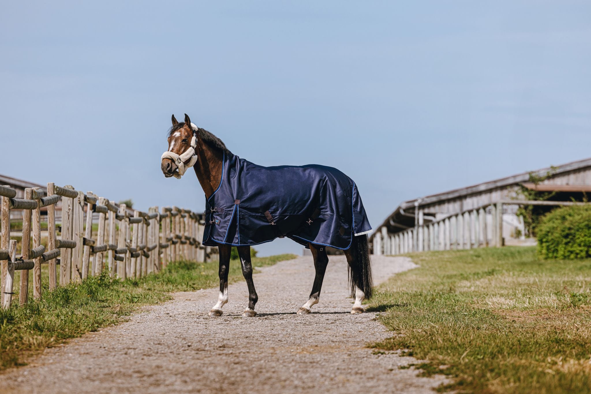 EQUITHÈME Classic 1200D Turnout rug - High neck Navy blue