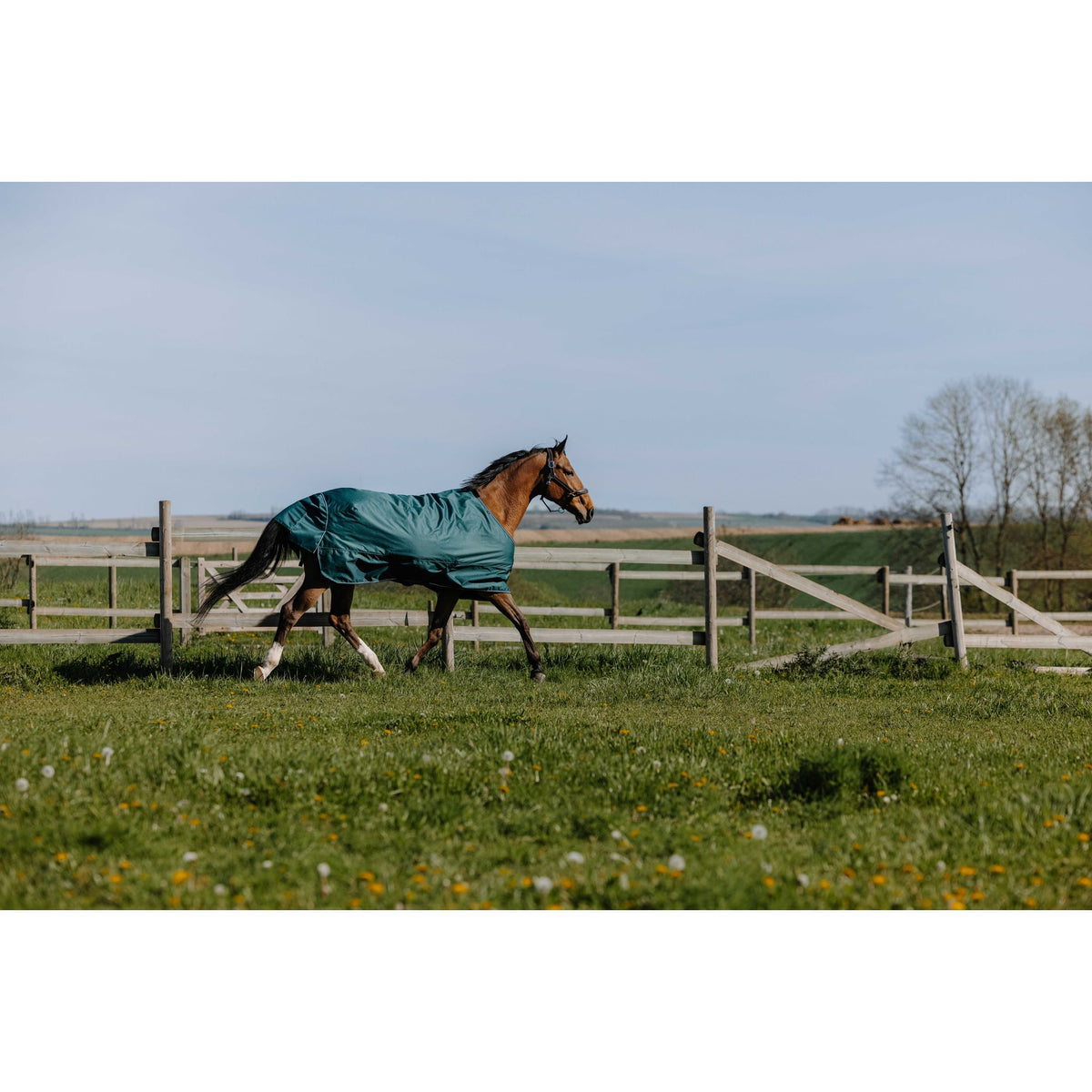 EQUITHÈME Tyrex 600D Outdoor Blanket - Green - 400552963_ambi_1