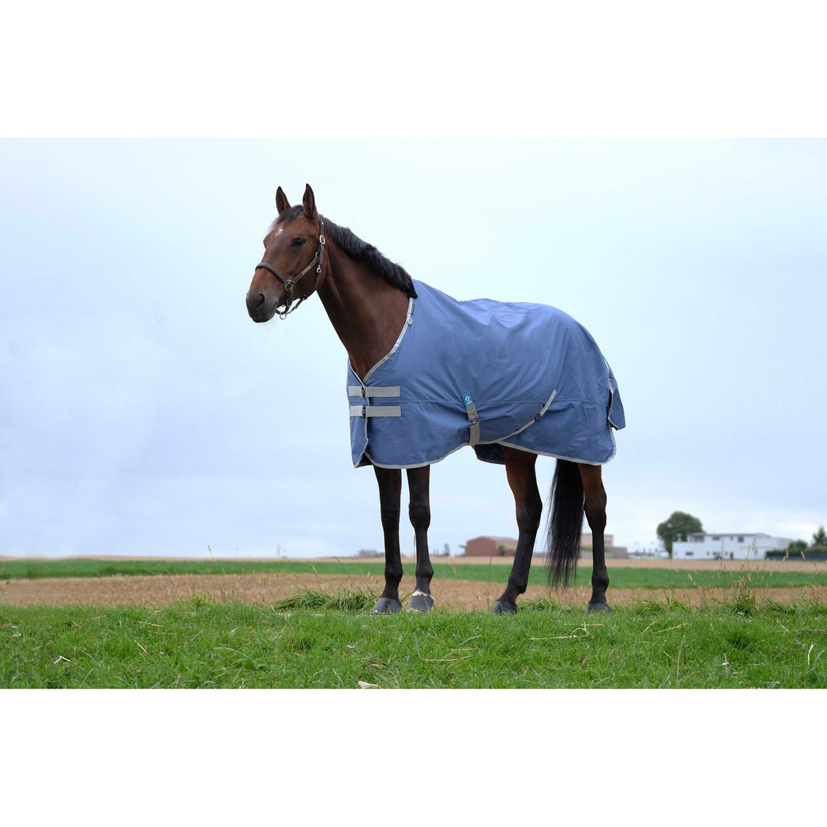 EQUITHÈME Tyrex 600D Recycled Blanket - Standard - Navy blue - 400748066_ambi_2