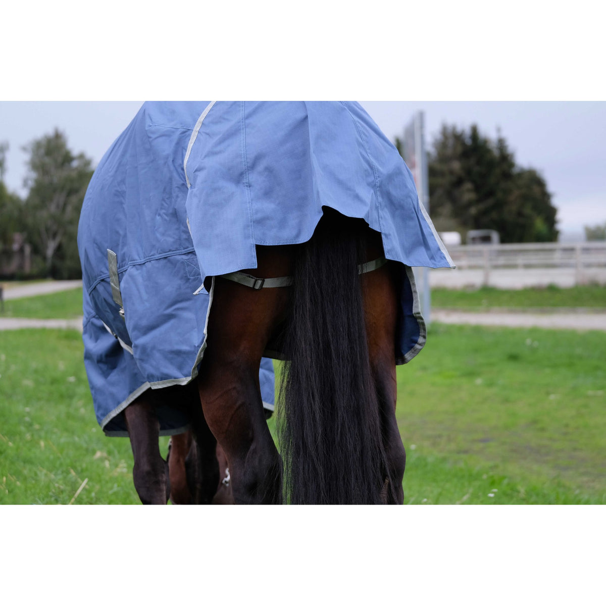 EQUITHÈME Tyrex 600D Recycled Blanket - Standard - Navy blue - 400748066_zoom_2