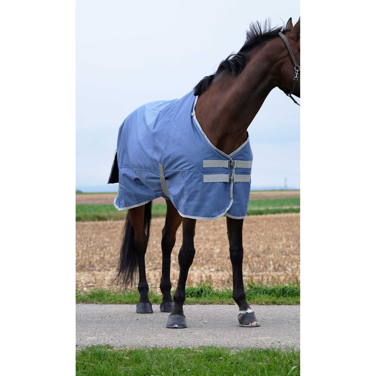 EQUITHÈME Tyrex 600D Recycled Blanket - Standard - Navy blue - 400748066_zoom_5