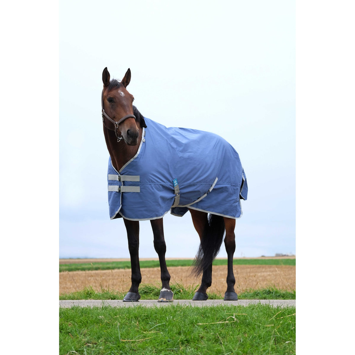 EQUITHÈME Tyrex 600D Recycled Blanket - Standard - Navy blue - 40074806_ambi_1