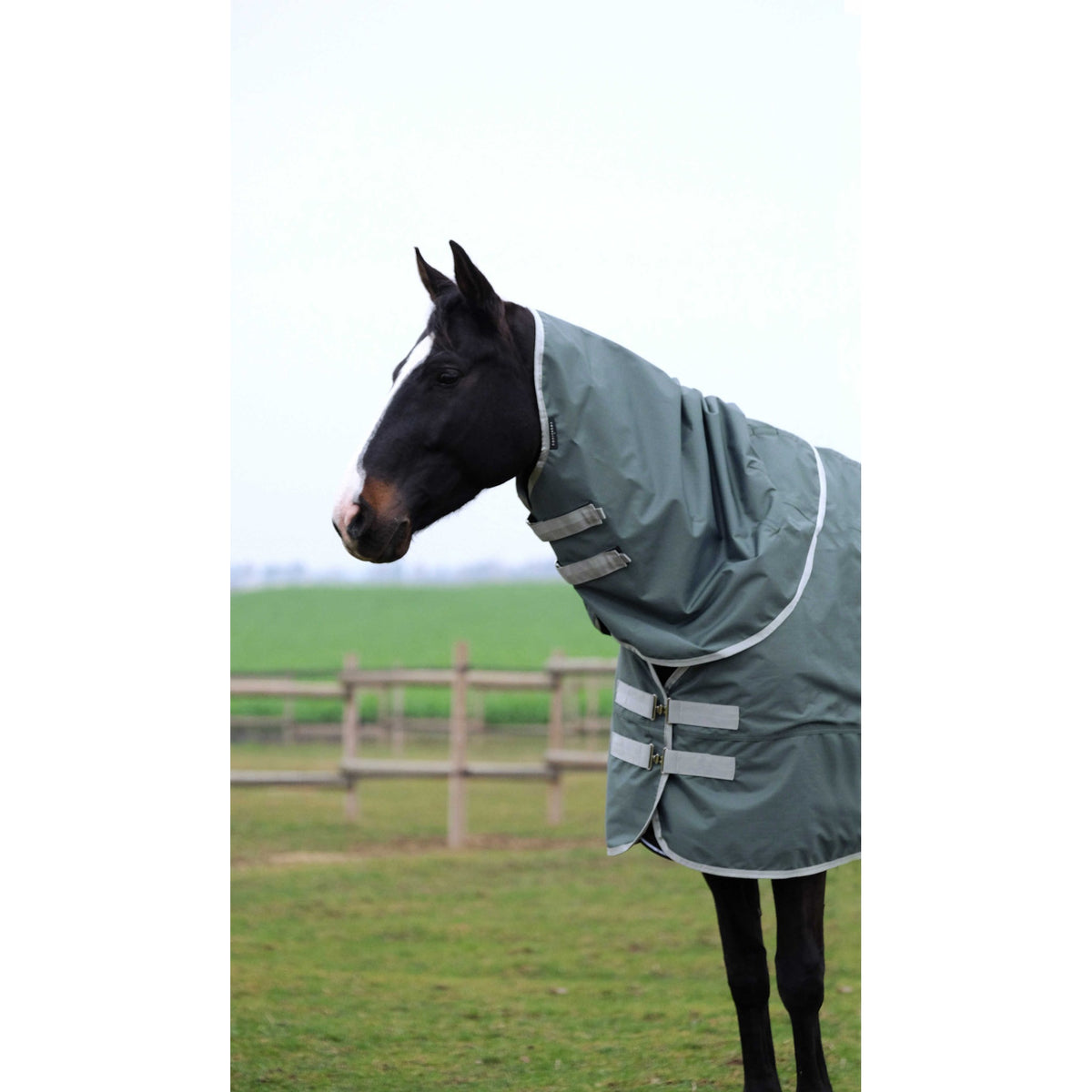 EQUITHÈME Tyrex 600D Recycled Neck Warmer - Green - 400776003_ambi_1