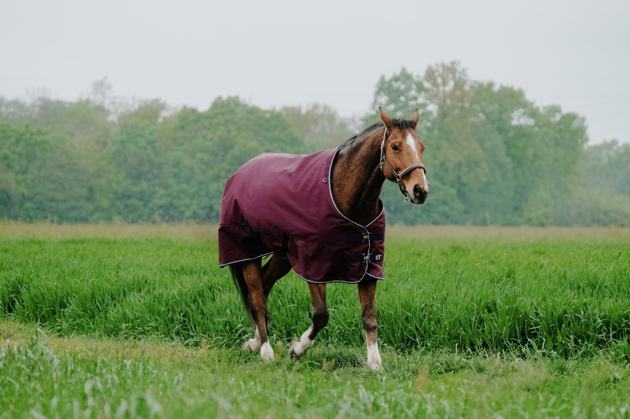 EQUITHÈME Tyrex 1200D Turnout sheet Reflec - Standard Burgundy