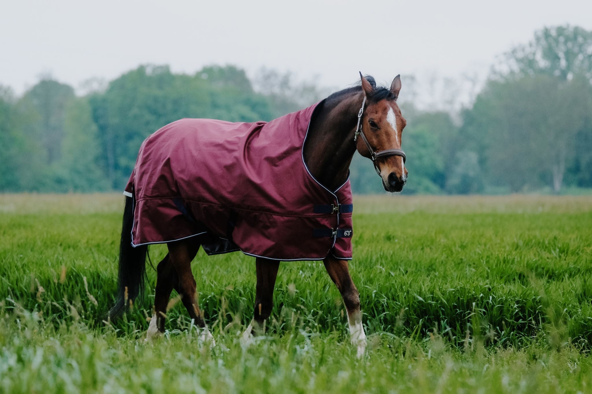 EQUITHÈME Tyrex 1200D Turnout sheet Reflec - Standard Burgundy