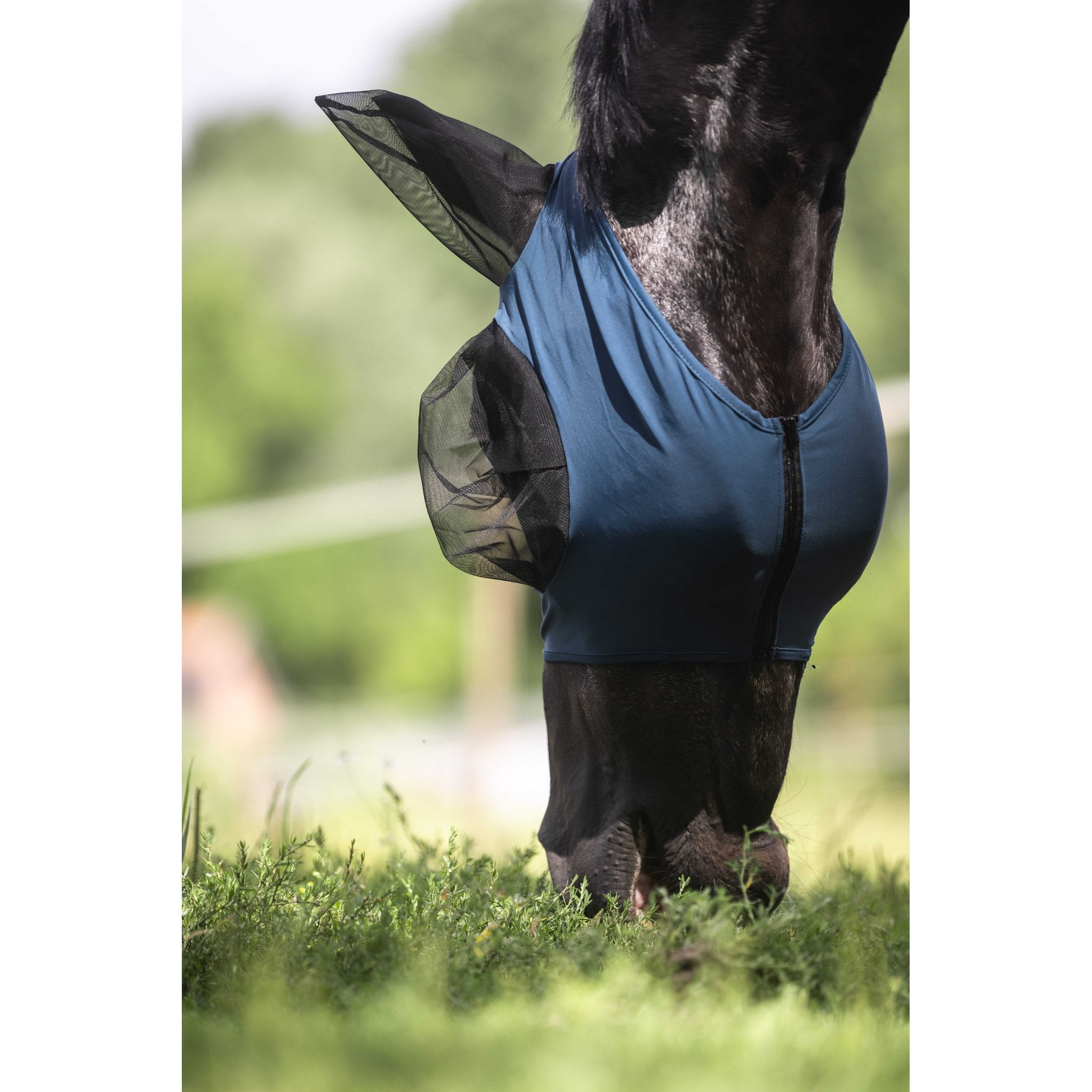 LAMI-CELL Lycra Fly Mask Blue - 306046206_ambi_2