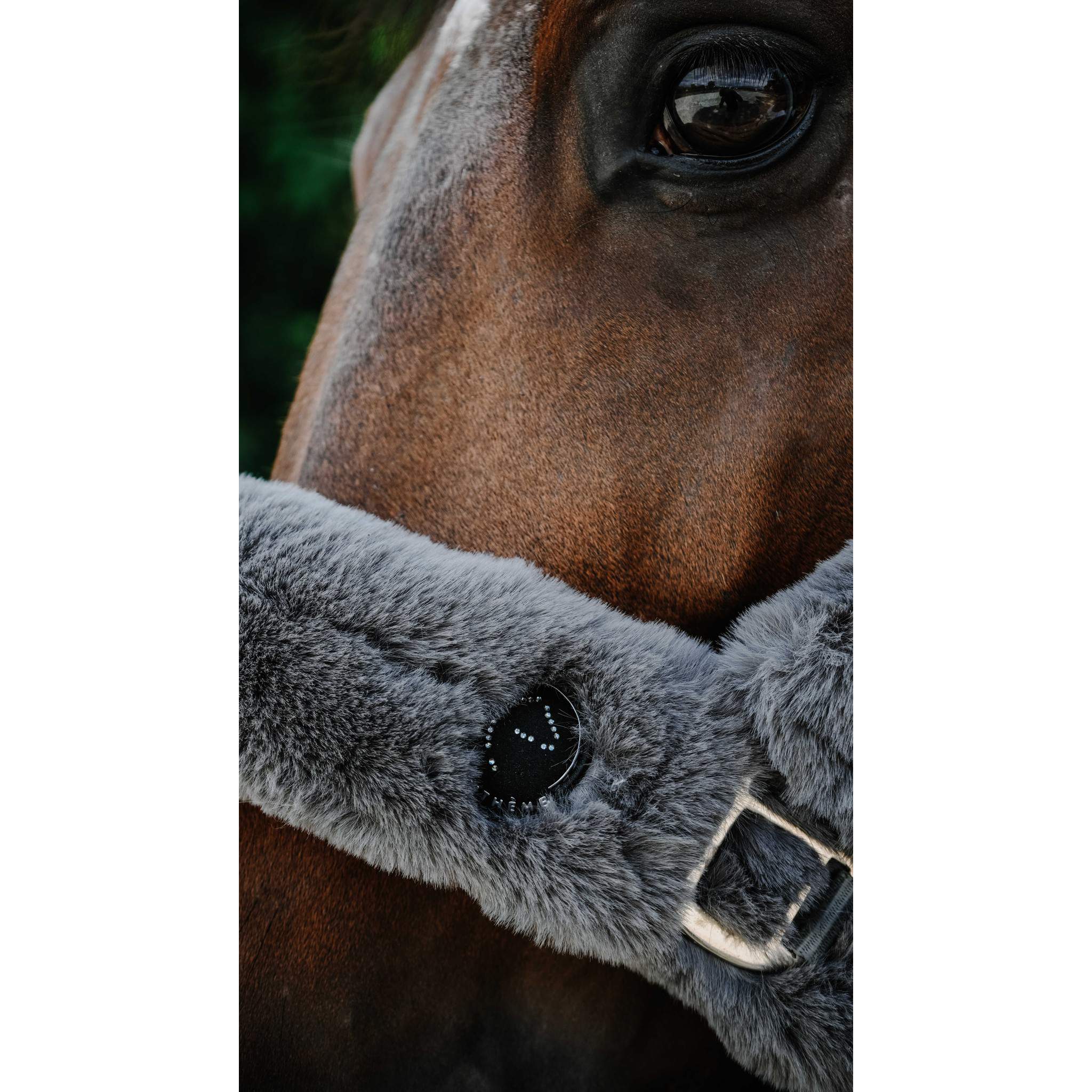 Je t'aime EQUITHÈME Snuggy Halter Grey 510274311