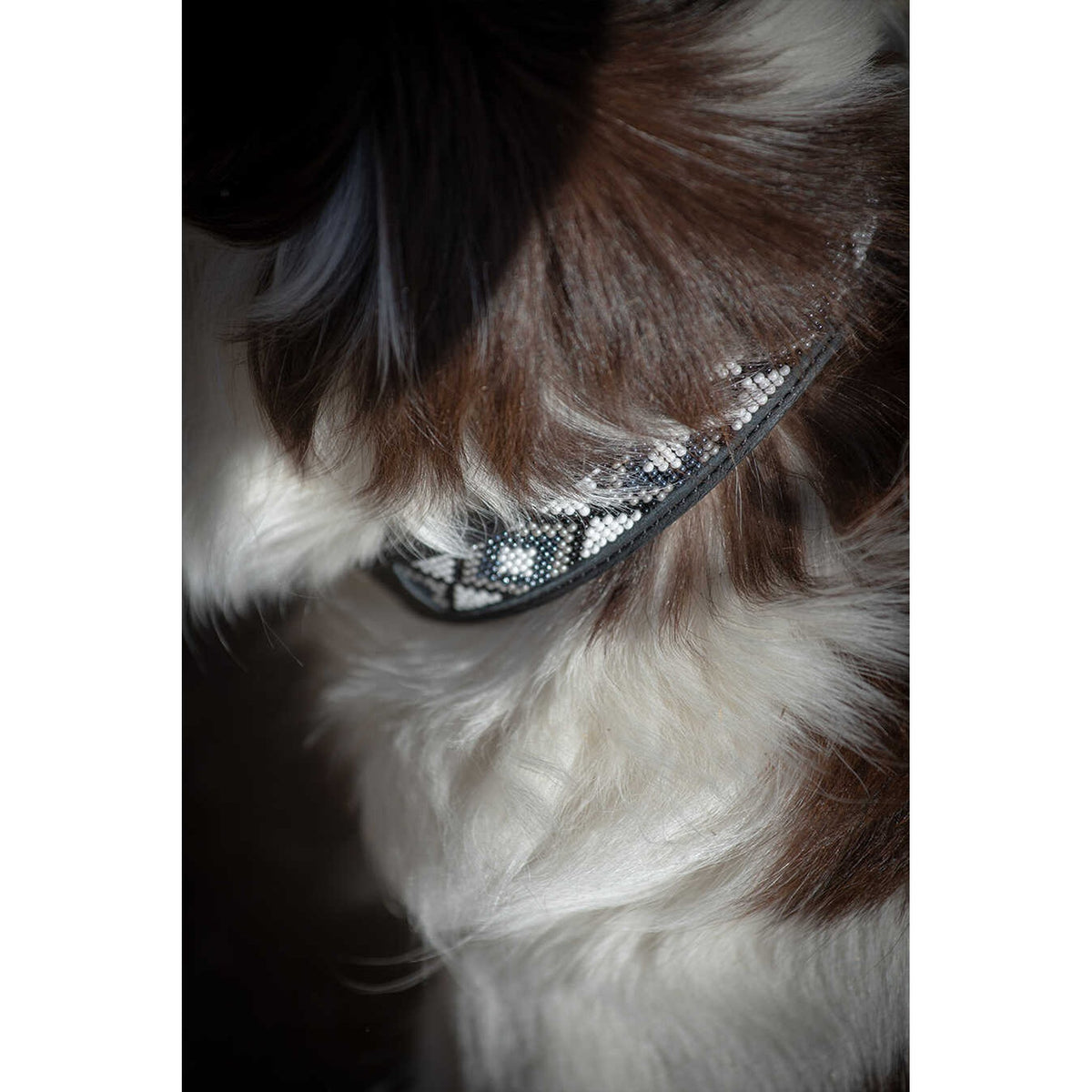 Pénélope Pearl Dog Collar - Black/white - 409821030_ambi_3