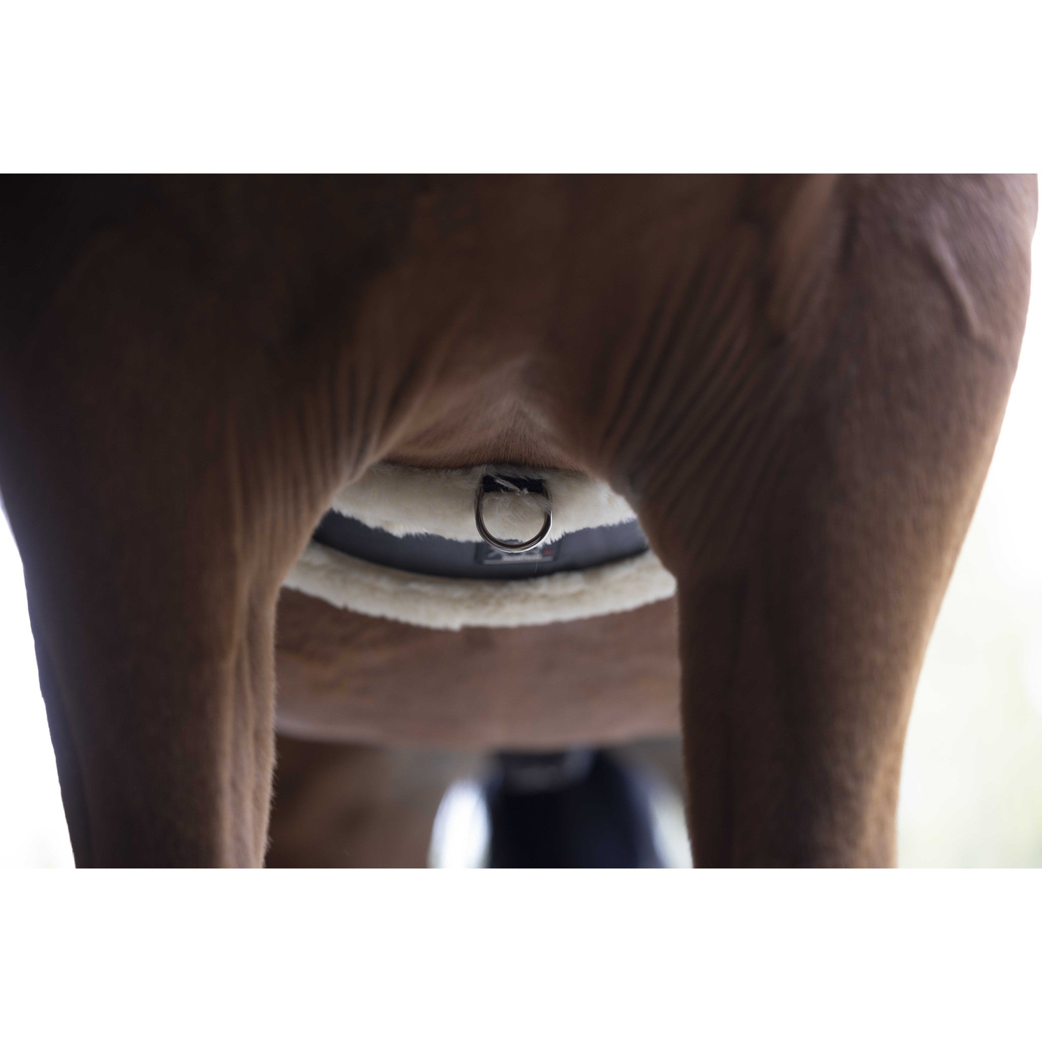 Norton XTR synthetic sheepskin girth Black/ecru 203225135