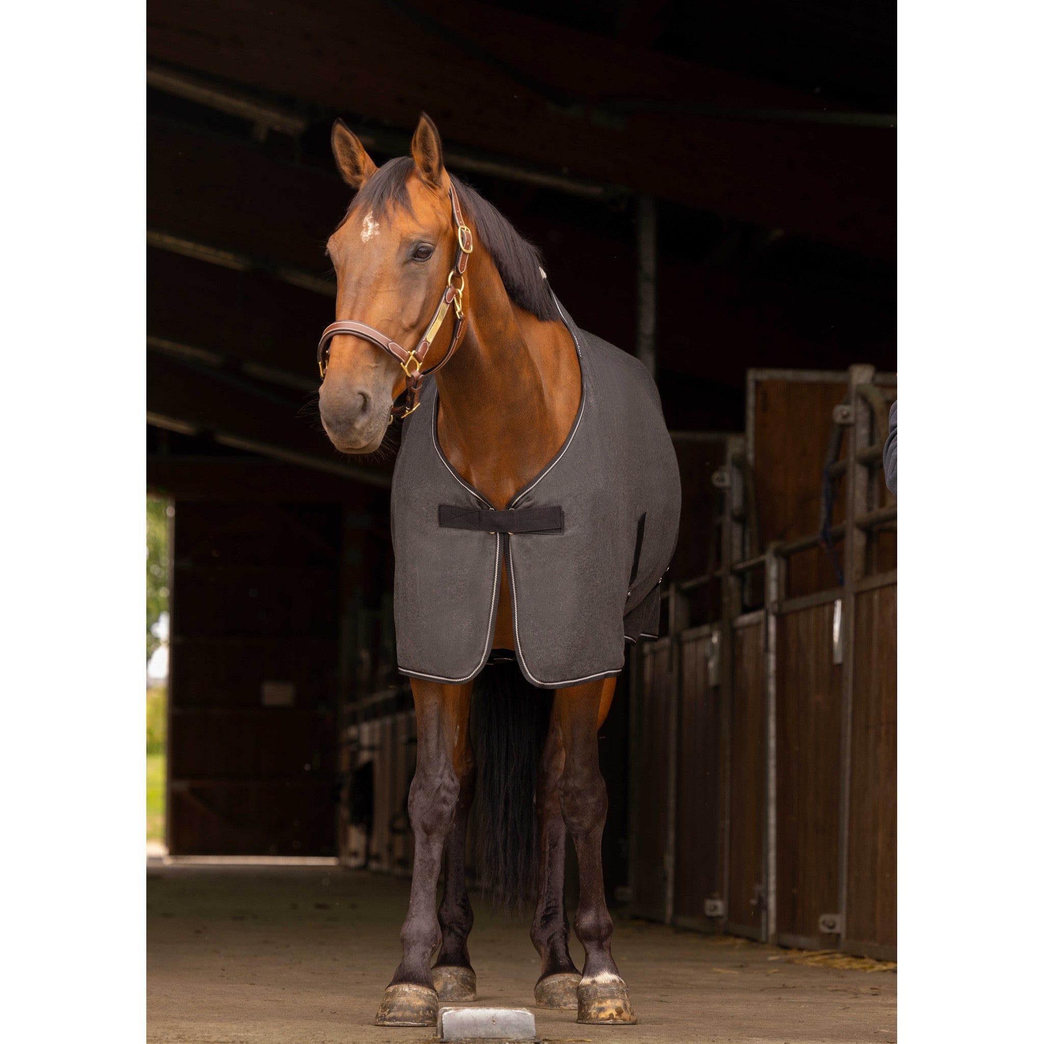 EQUITHÈME Chiné Summer Sheet Chiné grey 400731263