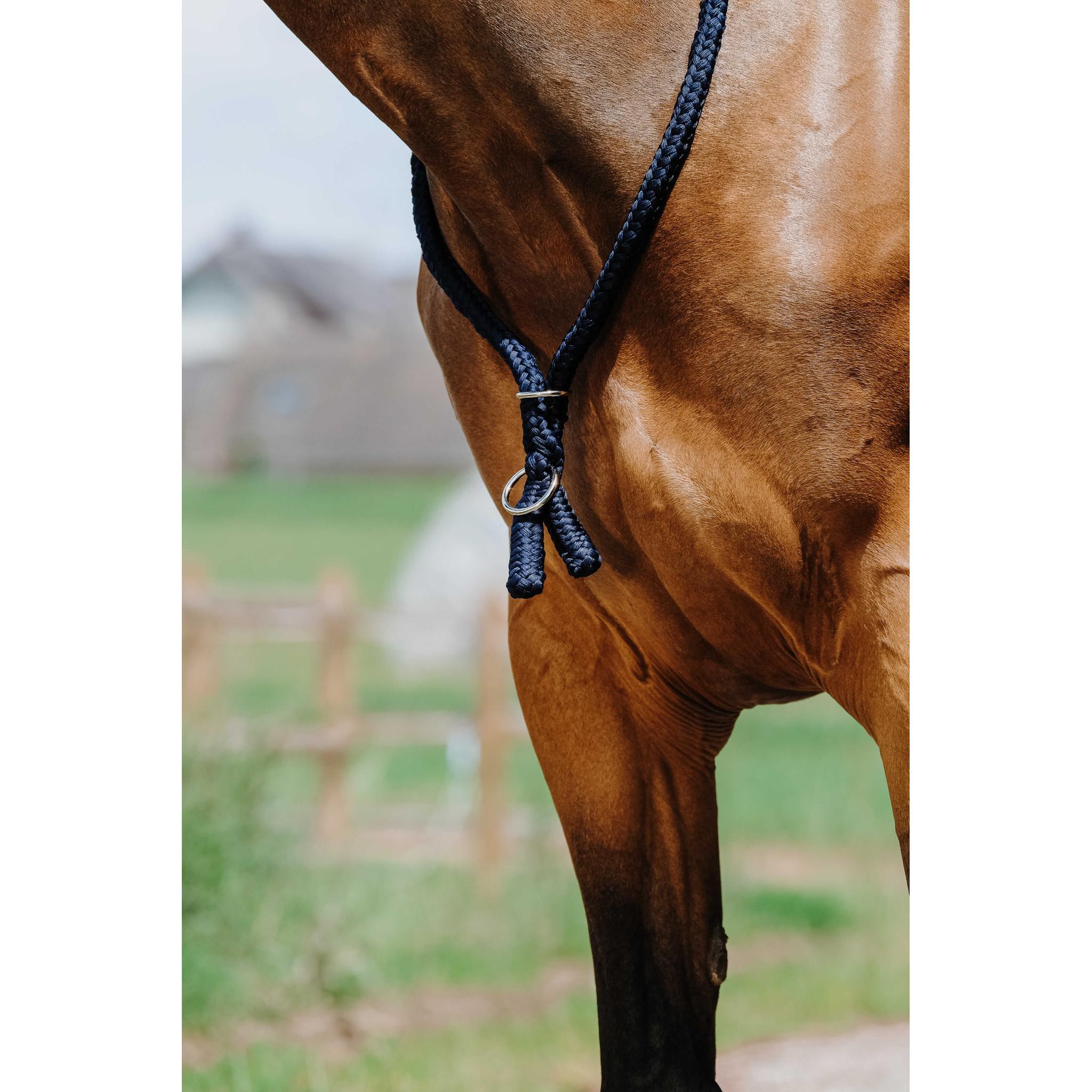 Norton Ethological Collar Navy blue 520990007