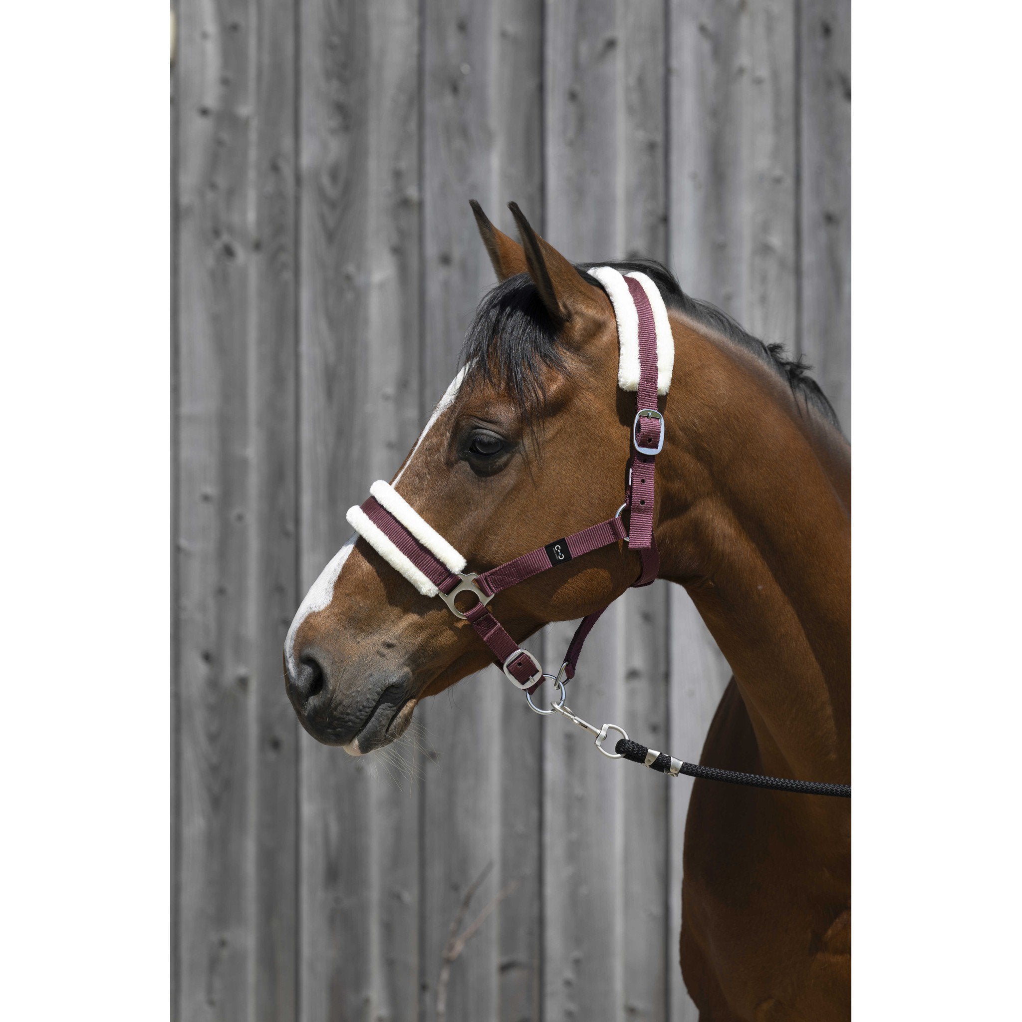 Riding World Synthetic Sheepskin Halter Burgundy 510242333