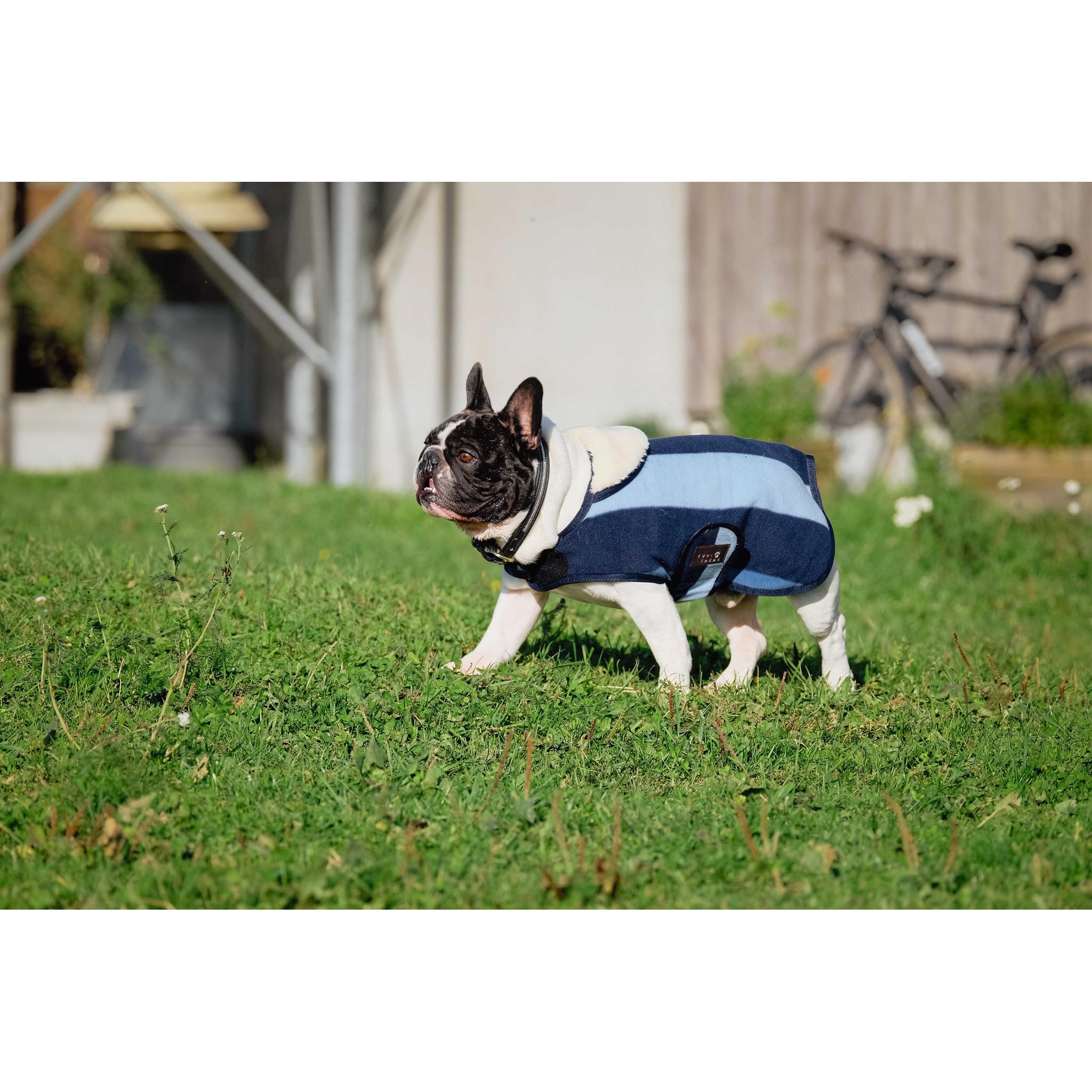 EQUITHÈME New Market Dog Rug Navy blue 409033740