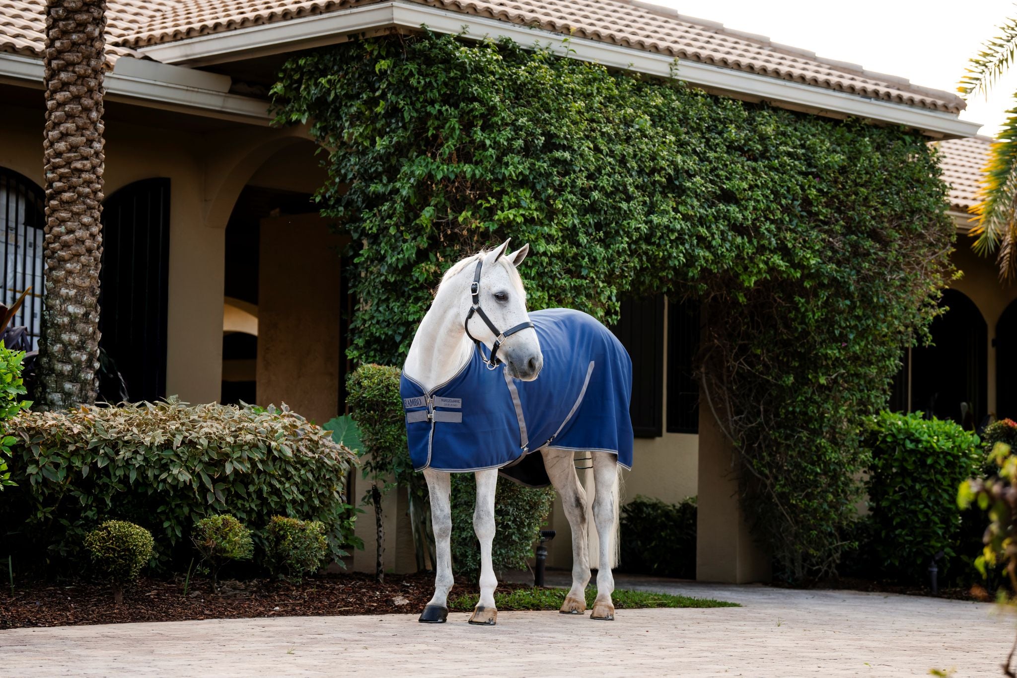 Horseware Rambo Stable sheet Navy blue/grey