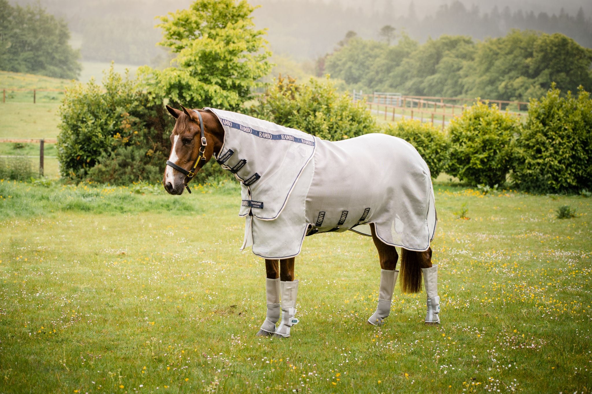 Horseware Rambo Protector fly sheet Grey/navy