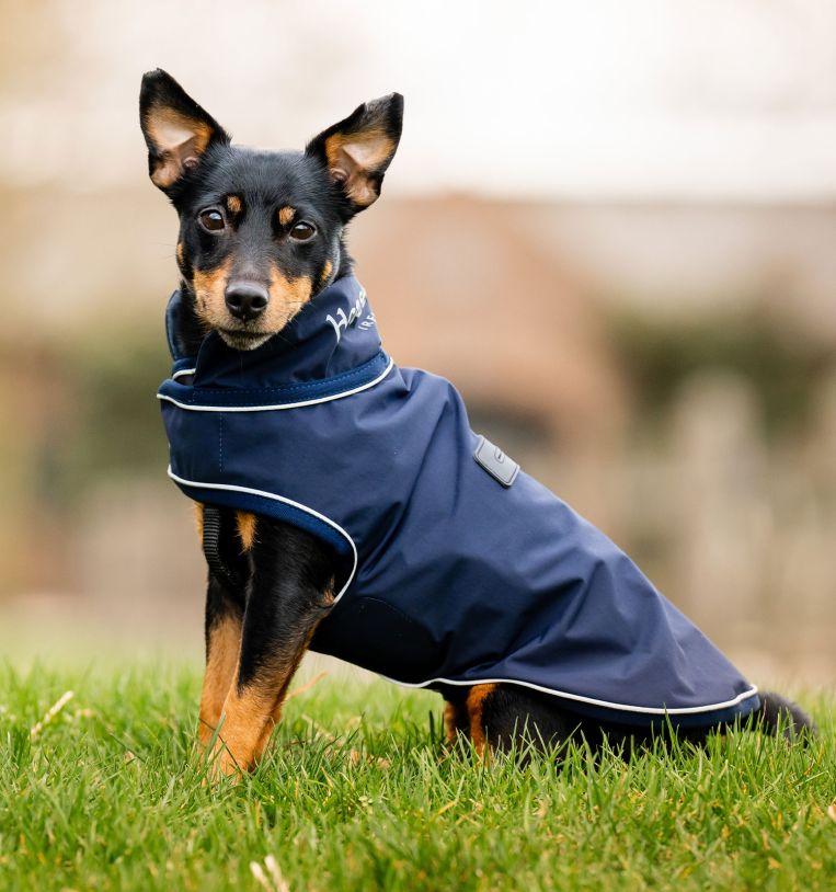 Horseware Signature Waterproof Dog Rug Navy blue