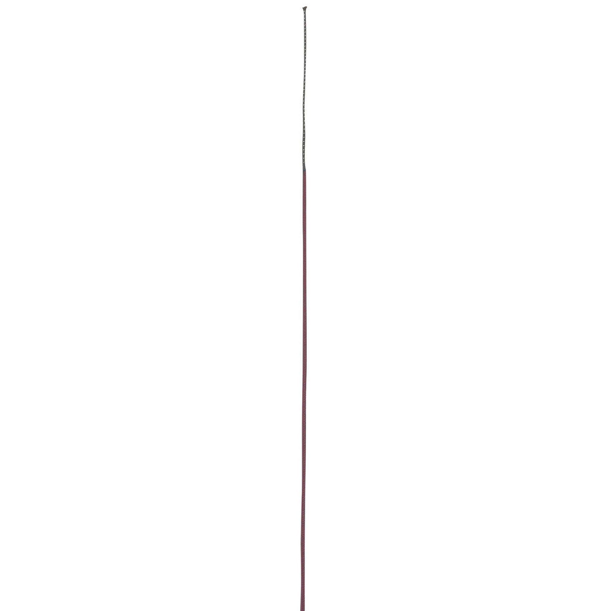 WHIP & GO Solid Polyamide Lunge Whip Burgundy 953400033