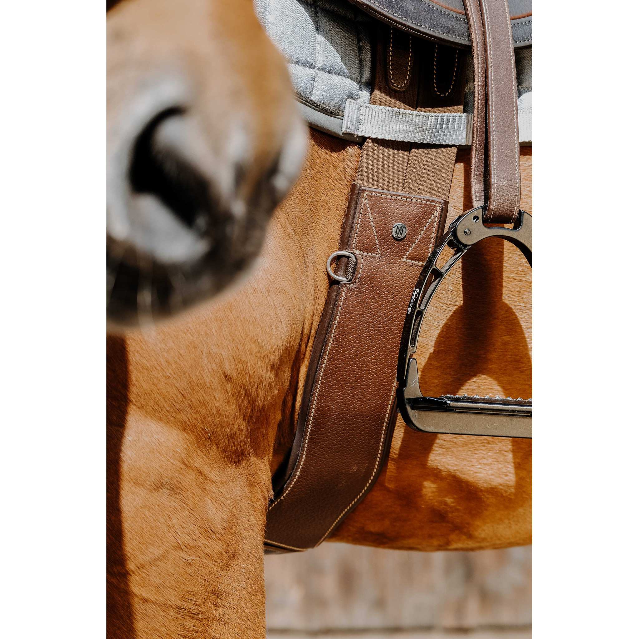 Norton Magnet Anatomical Girth Havana 203147425