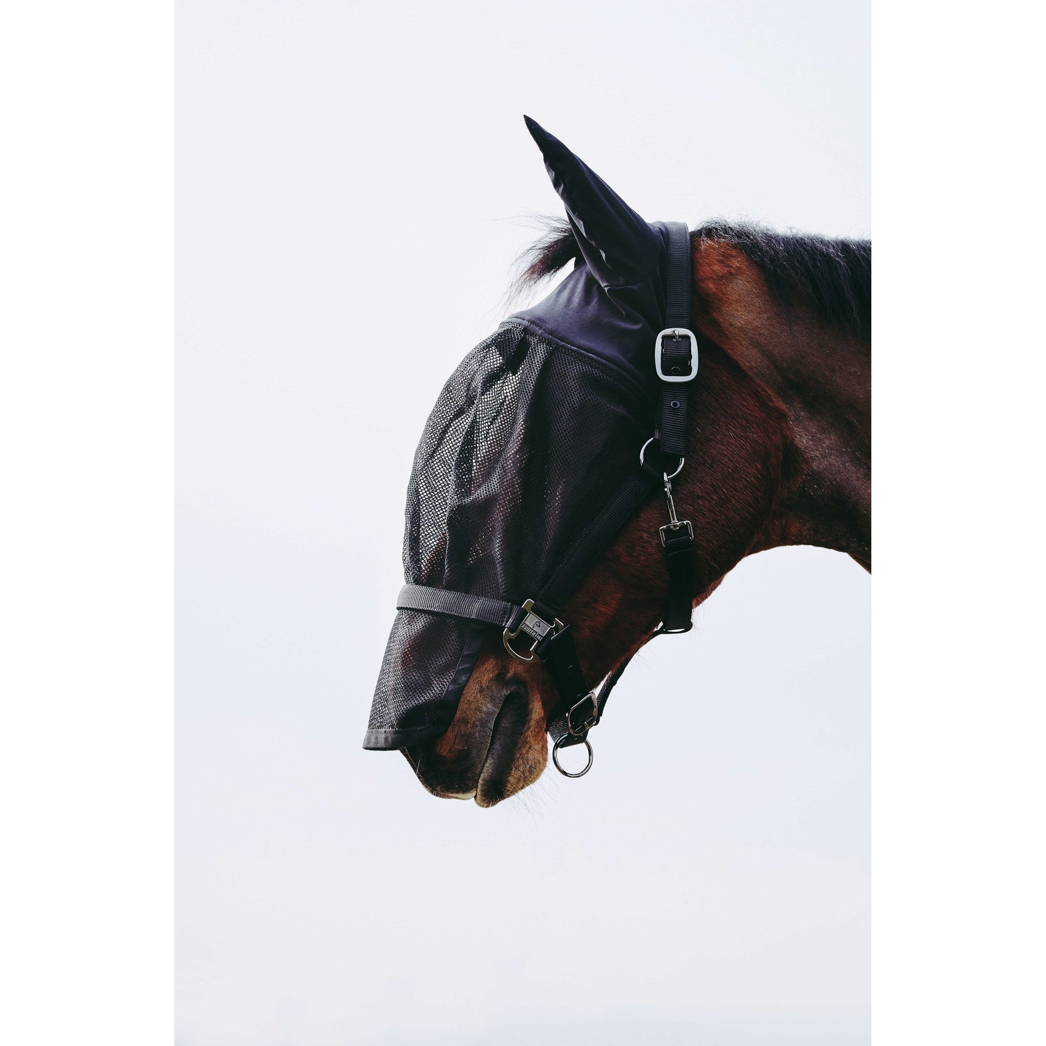 EQUITHÈME Halter + fly mask Black 510062003