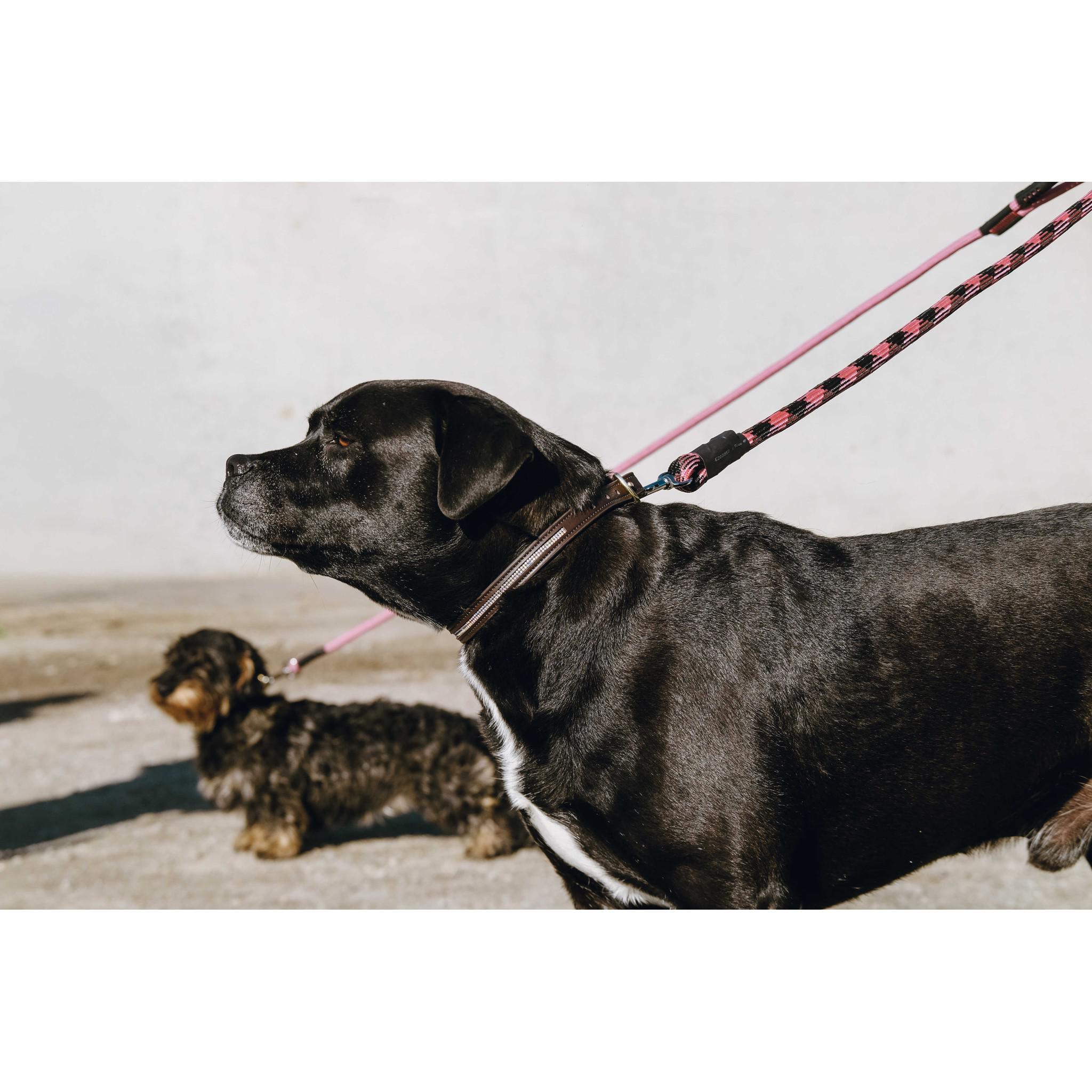 EQUITHÈME Haspen Dog Leash Black/fuchsia 409055235