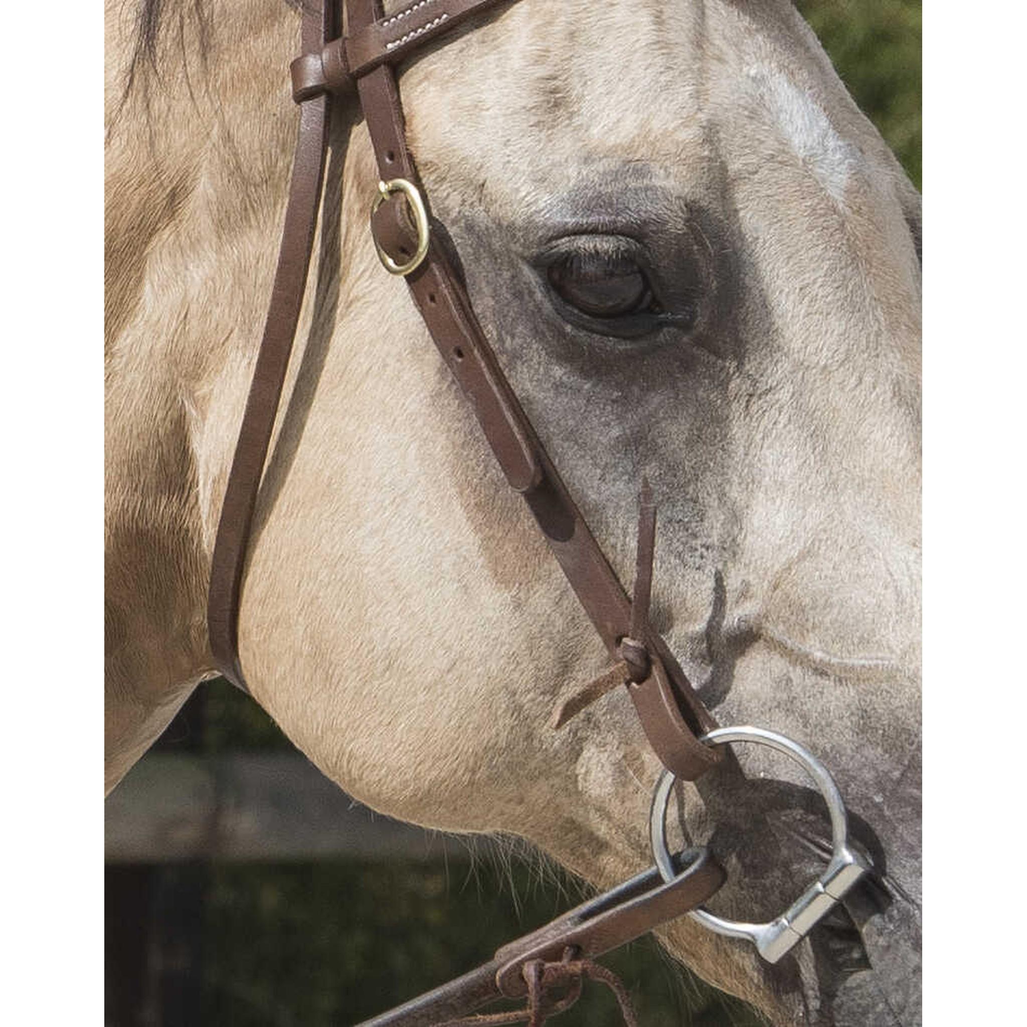 Westride Colorado Bridle by Franck Perret Chocolate 802062318