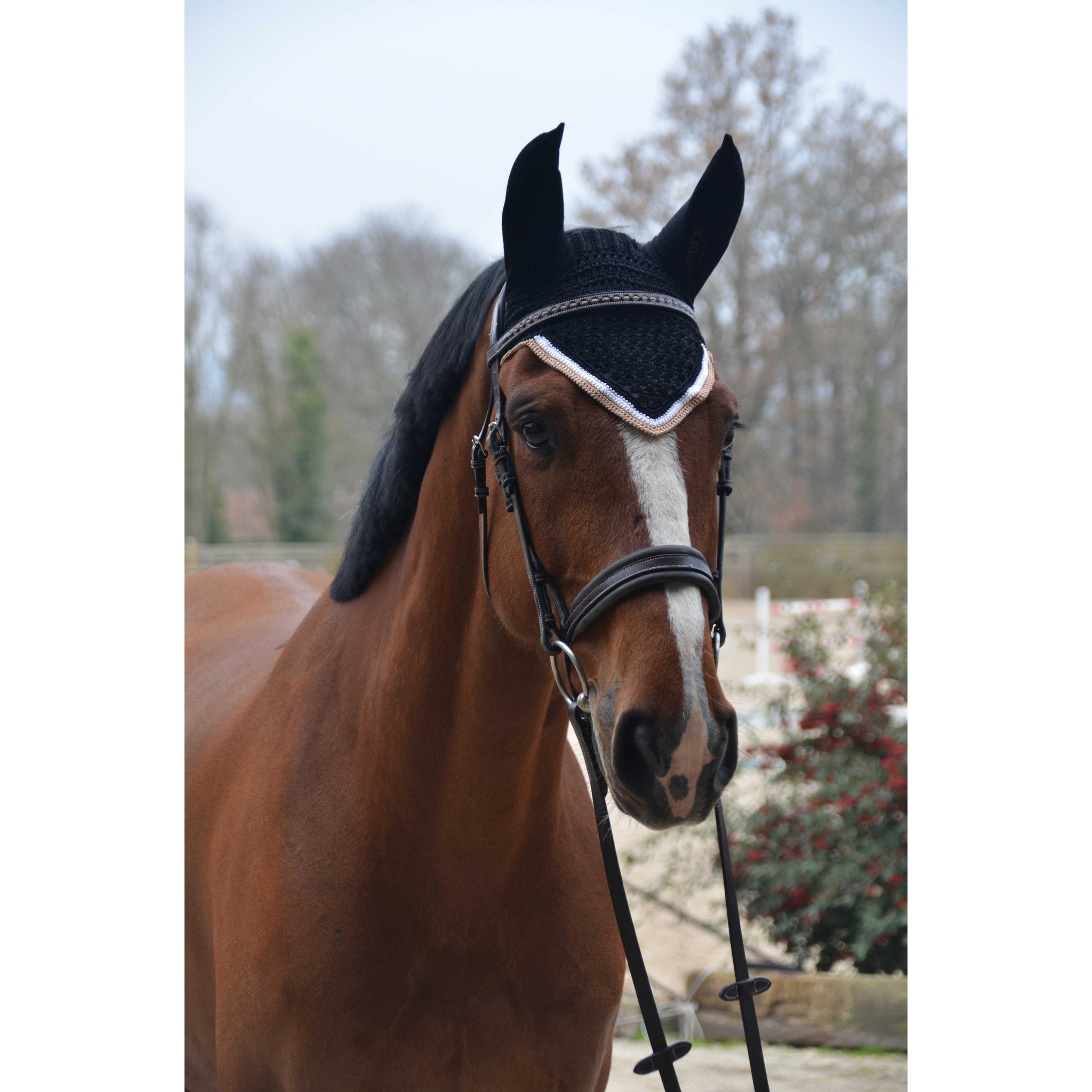 Paddock Sports Origine Fly Veil Black - 306988002_ambi_1