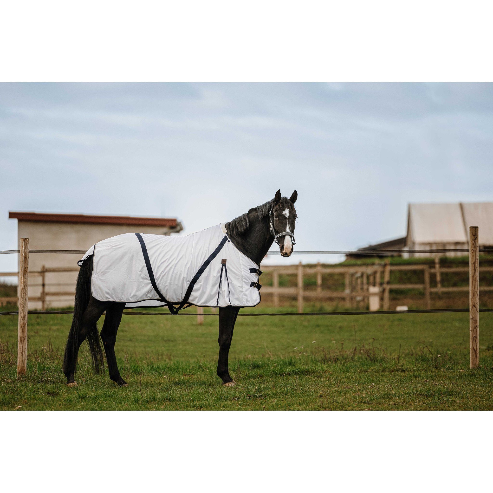 EQUITHÈME Mesh Sheet - Standard White 400353063