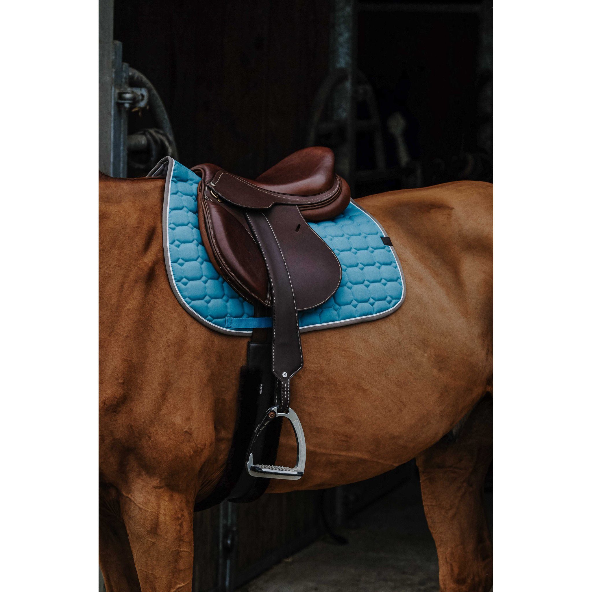 EQUITHÈME Orion saddle pad - All purpose Turquoise 204774017