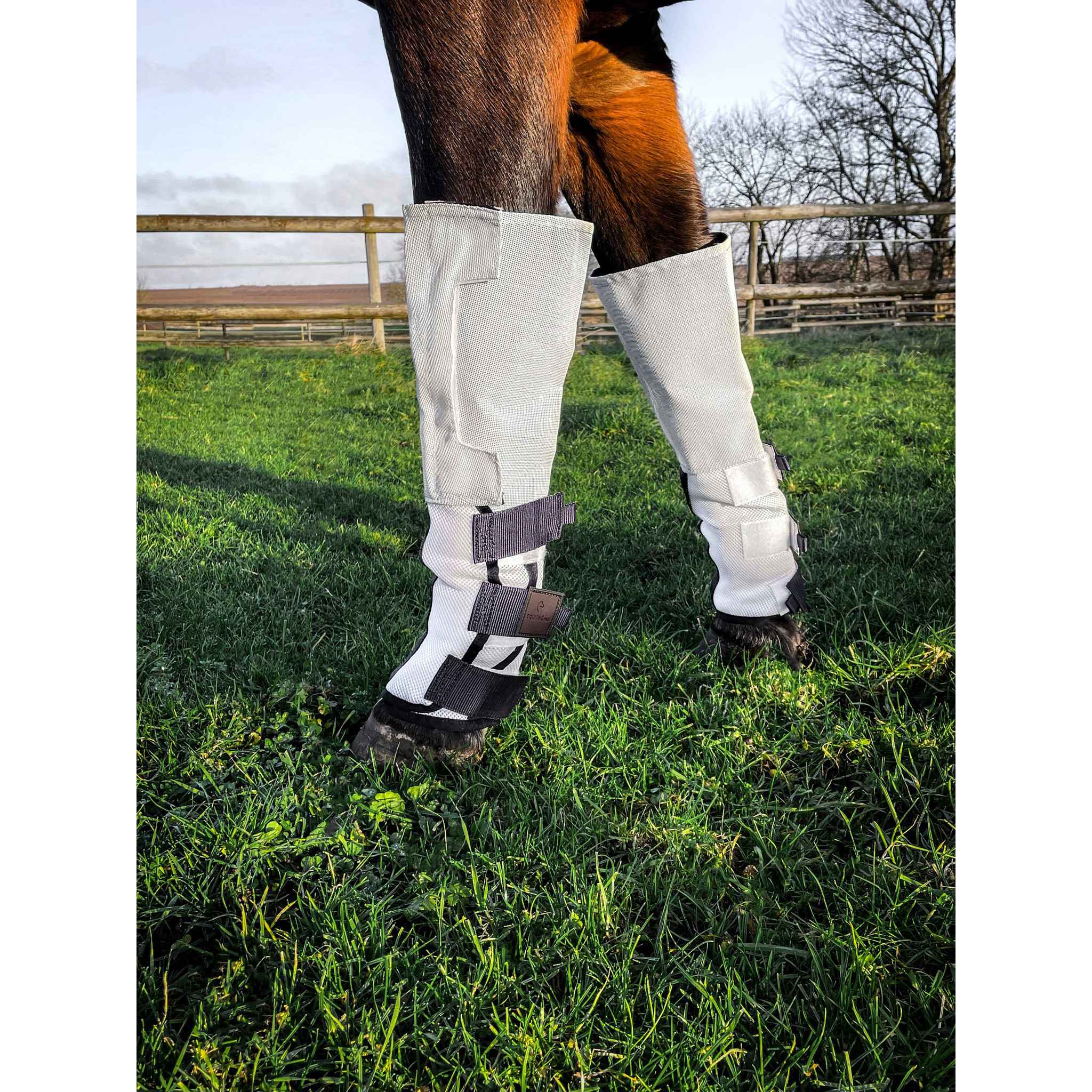 EQUITHÈME Pro Fly Boots White 530097301