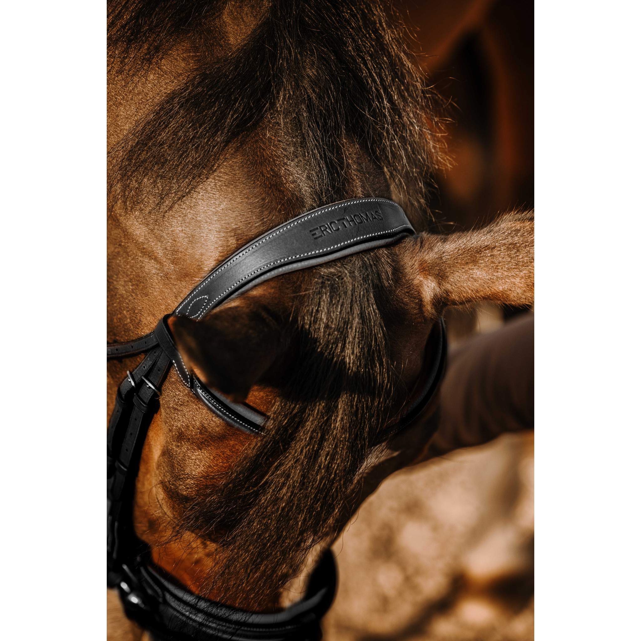 Éric Thomas Work Bridle Black 301906302