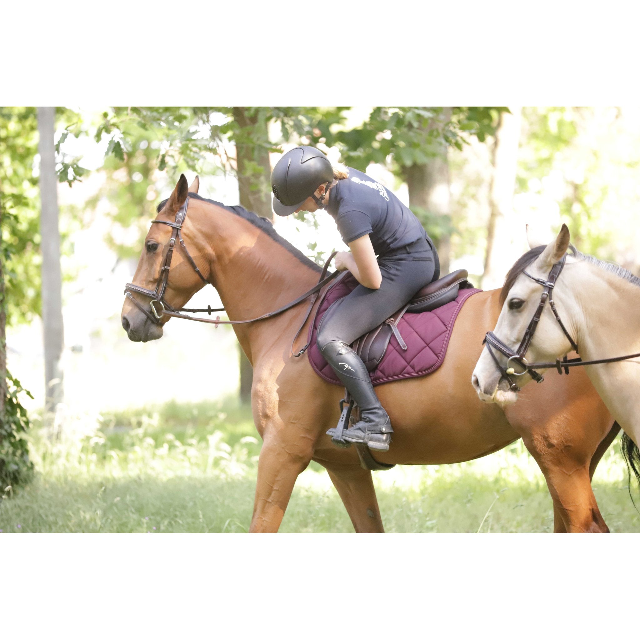Paddock Sports Prem's All-Purpose Saddle Pad Plum - 204748034_ambi_13