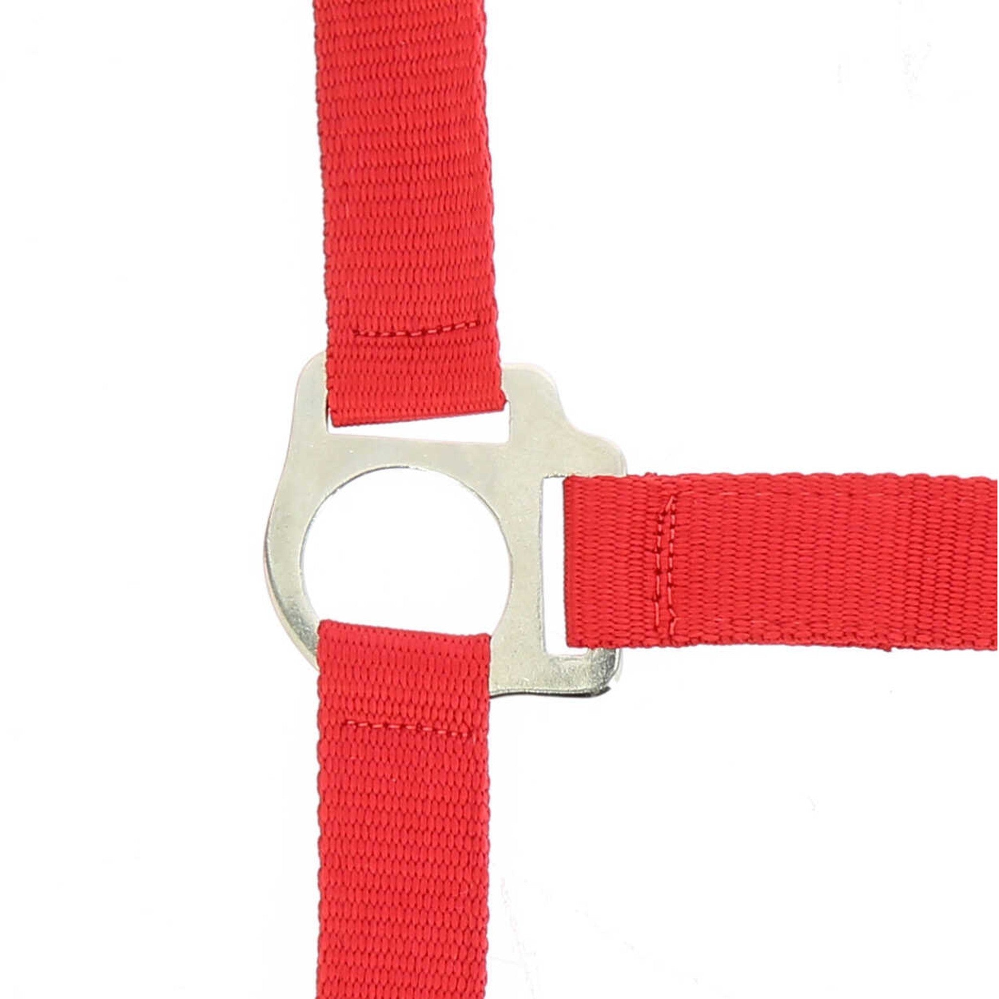 Riding World Club Headcollar and leadrope set Red 510118303