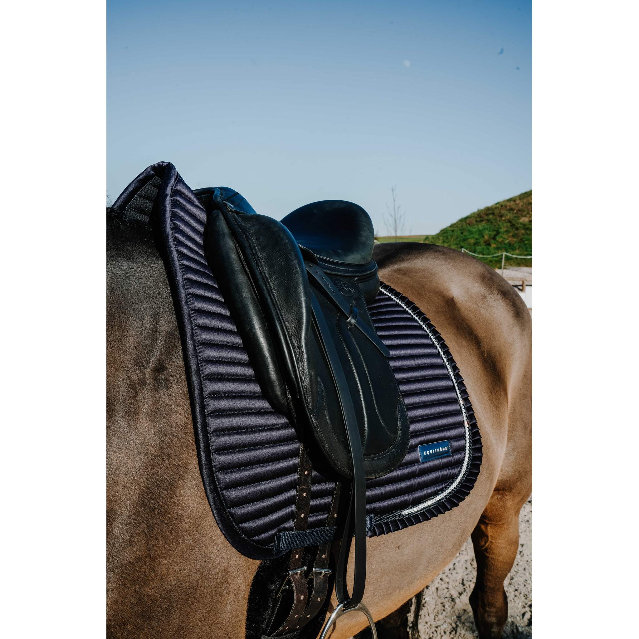 EQUITHÈME Glam Dressage Saddle Pad Navy blue - 204025007_ambi_2