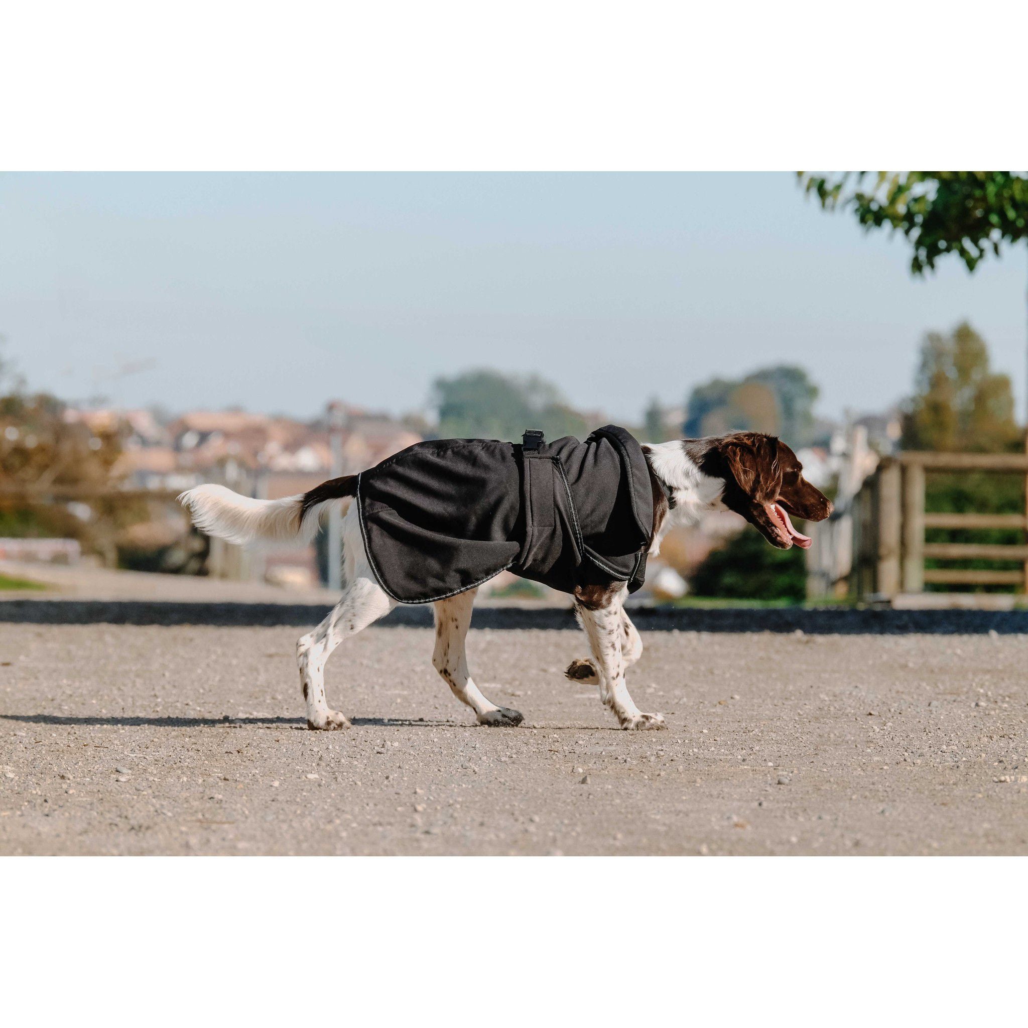 EQUITHÈME Softshell dog rug Black 409034260