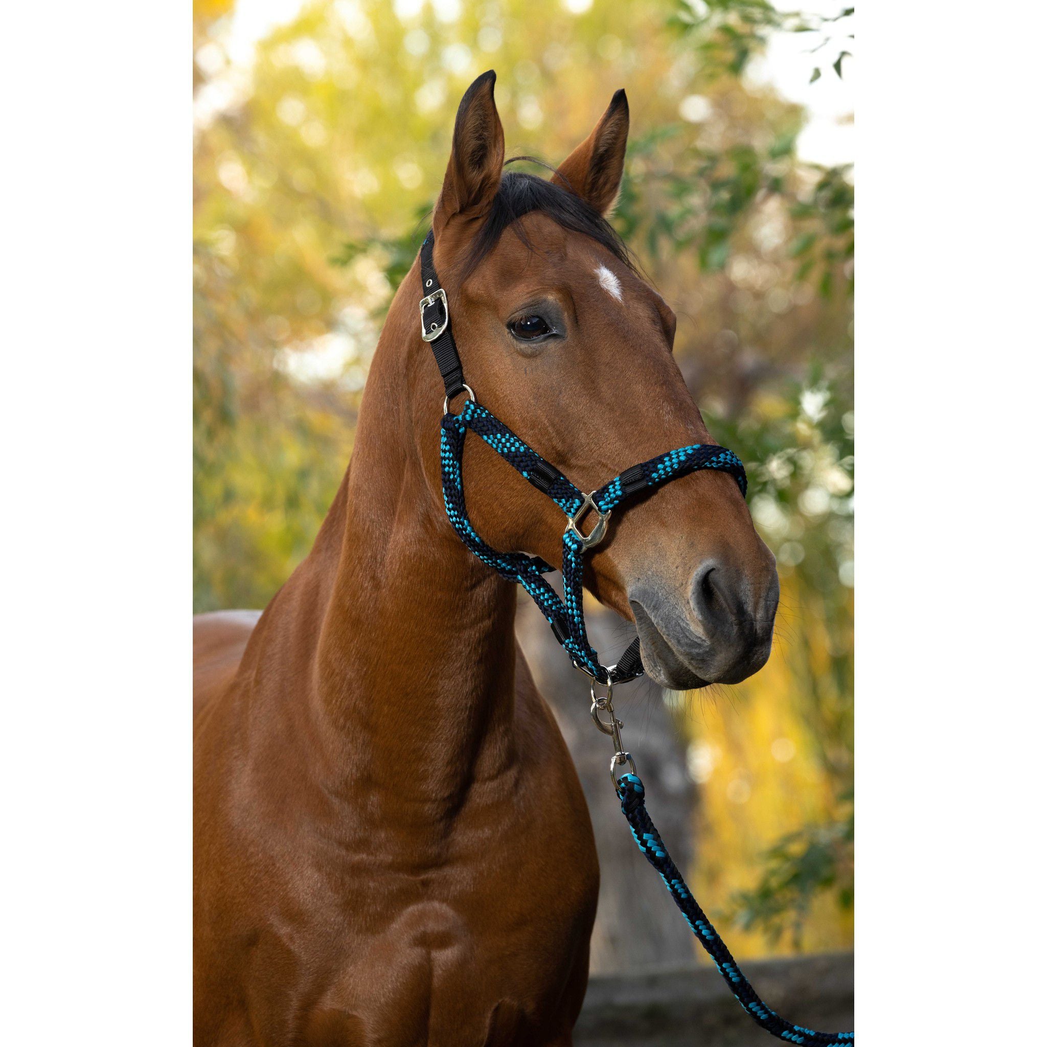 EQUITHÈME Braided Halter + Lead Rope Dark blues/turquoise 510629177