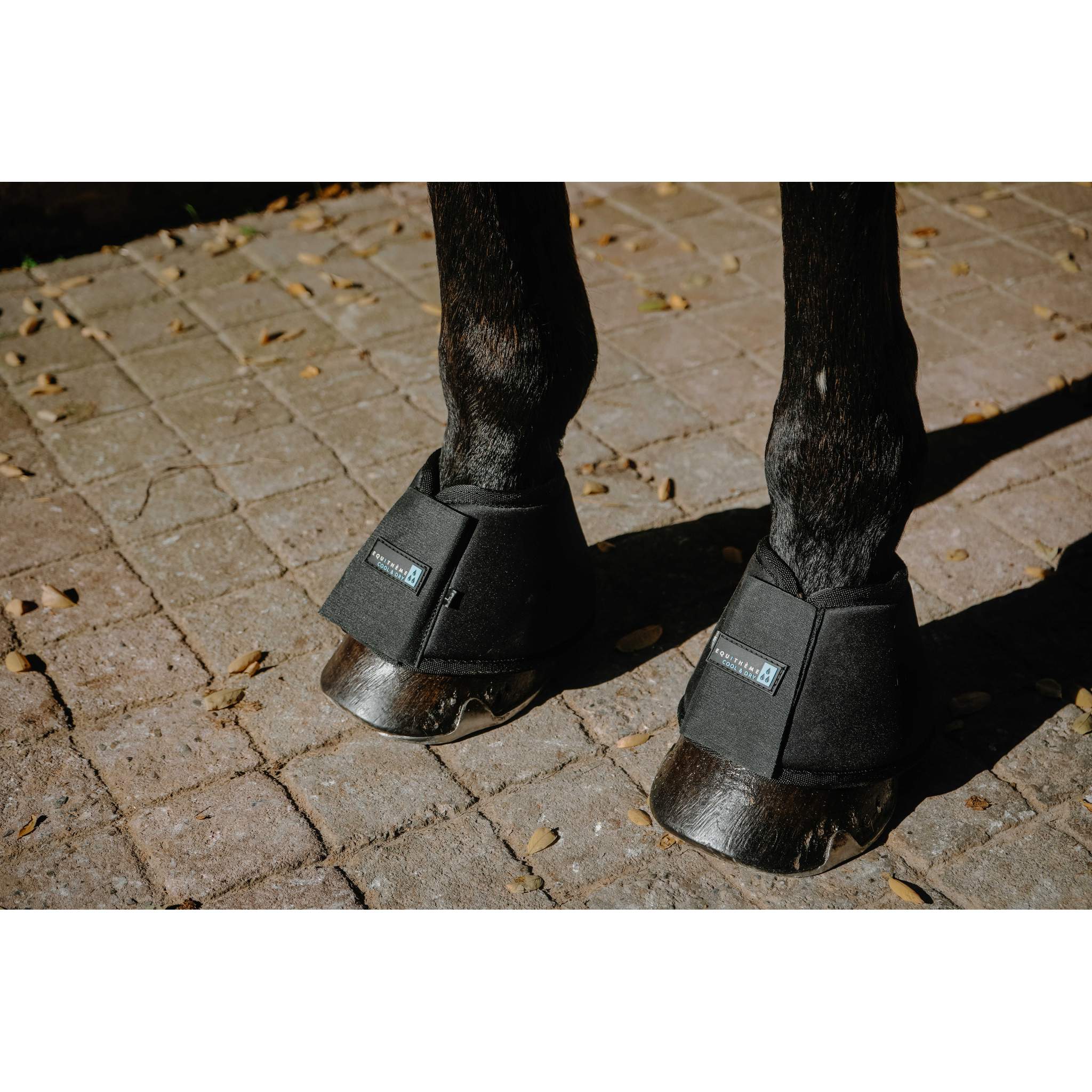 EQUITHÈME Cool&dry Refreshing Bell Boots - FRESH Black - 545000003_ambi_1