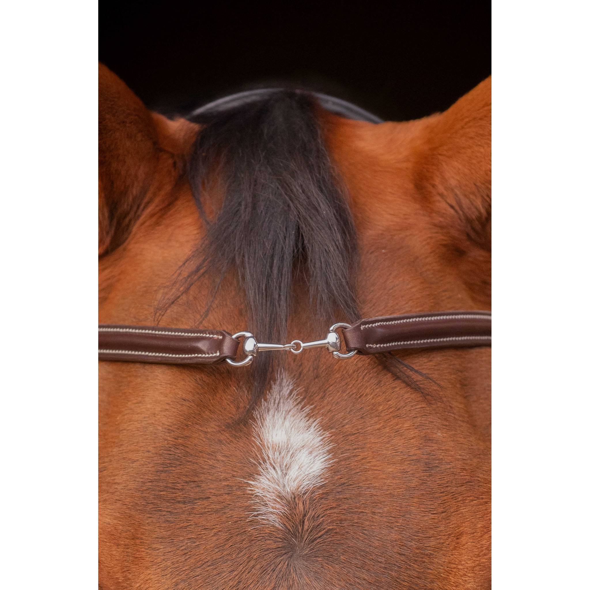 PENELOPE "Opale" Browband Havana - 304403318_ambi_2