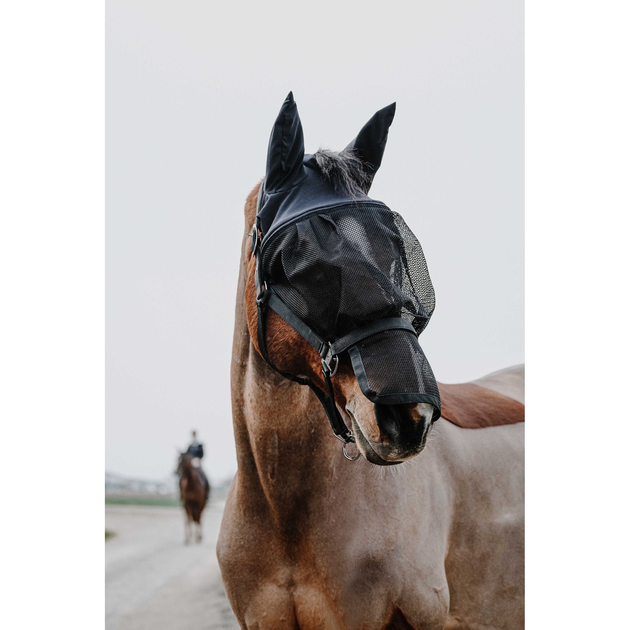 EQUITHÈME Halter + fly mask Black 510062003