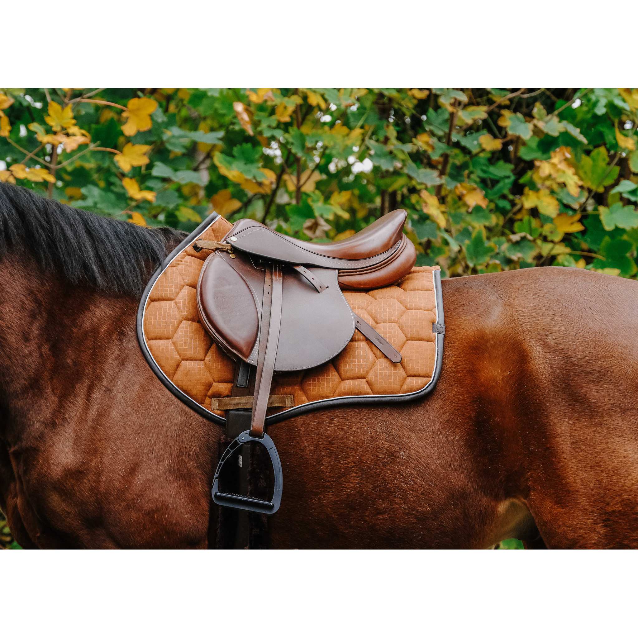EQUITHÈME Quadri All-Purpose Saddle Pad Camel - 204779004_ambi_1