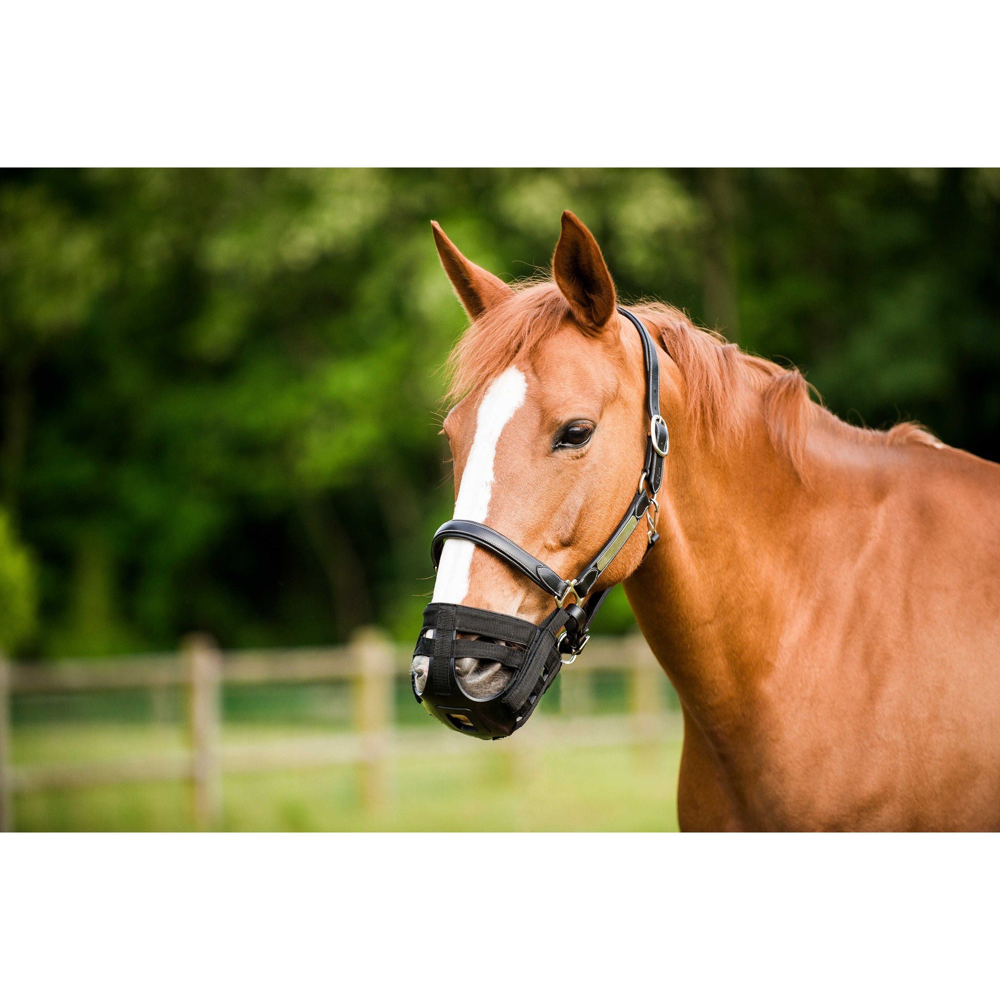Nosebag Black 306716002