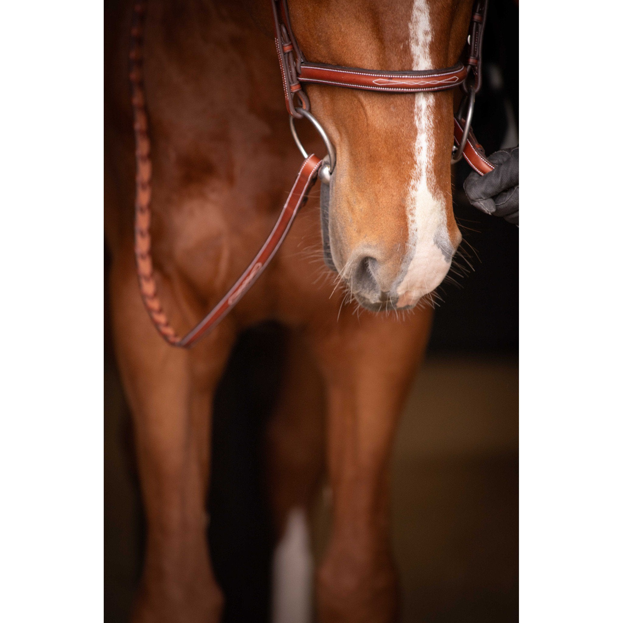 Pénélope Hunter US Bridle Chestnut 301610304