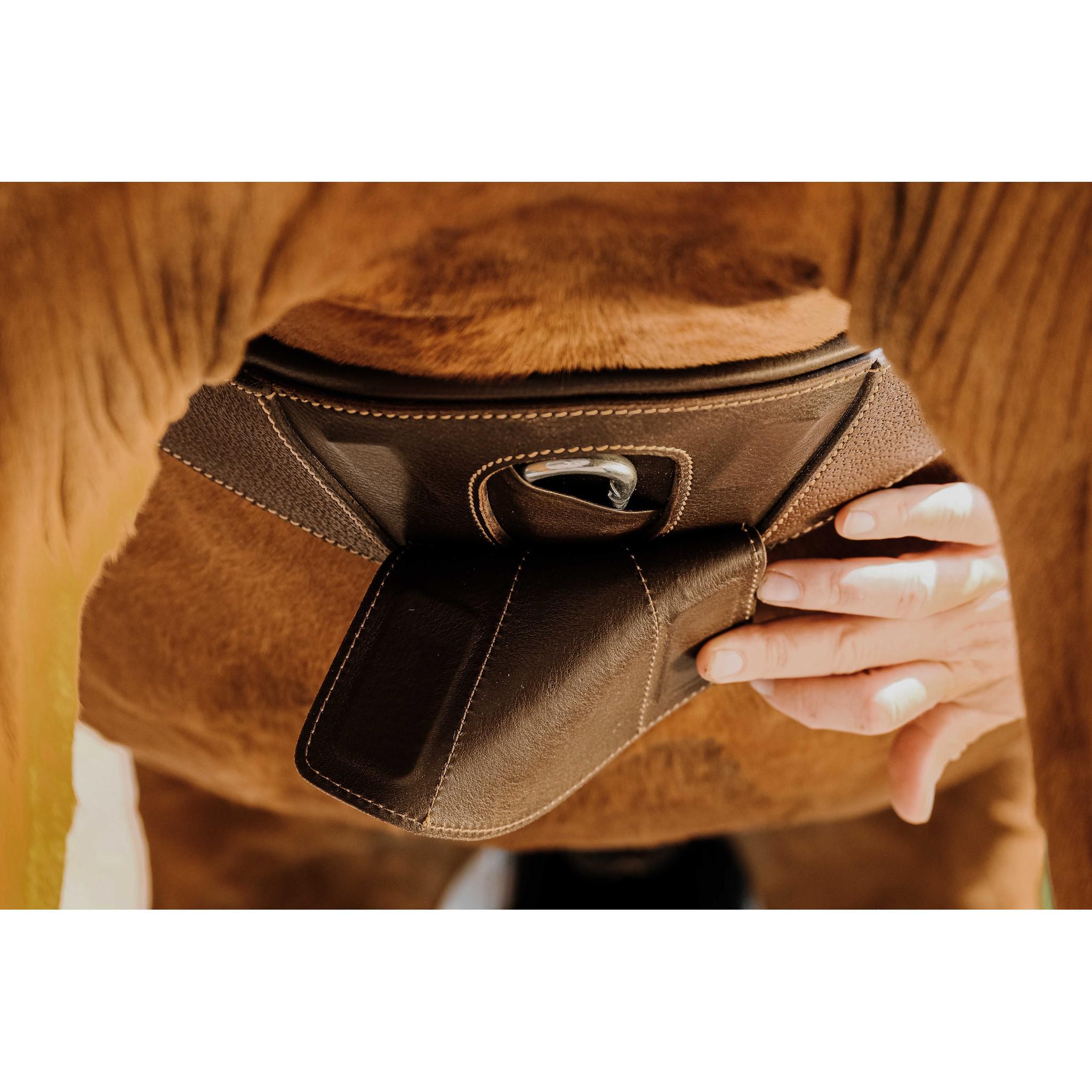 Norton Magnet Anatomical Girth Havana 203147425