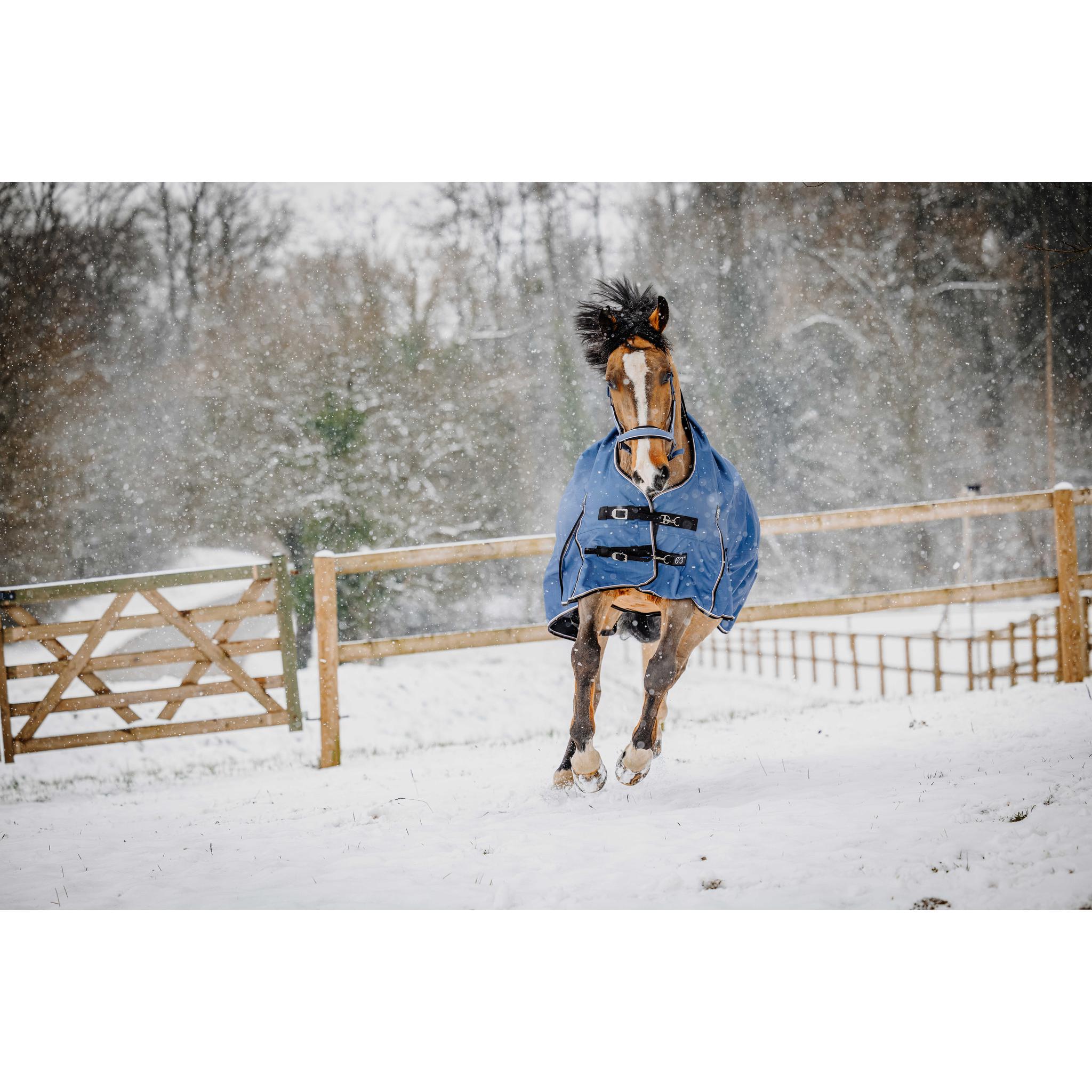 EQUITHÈME TYREX 1200D High Neck Horse Blanket Cobalt Blue - 400600470_ambi_12