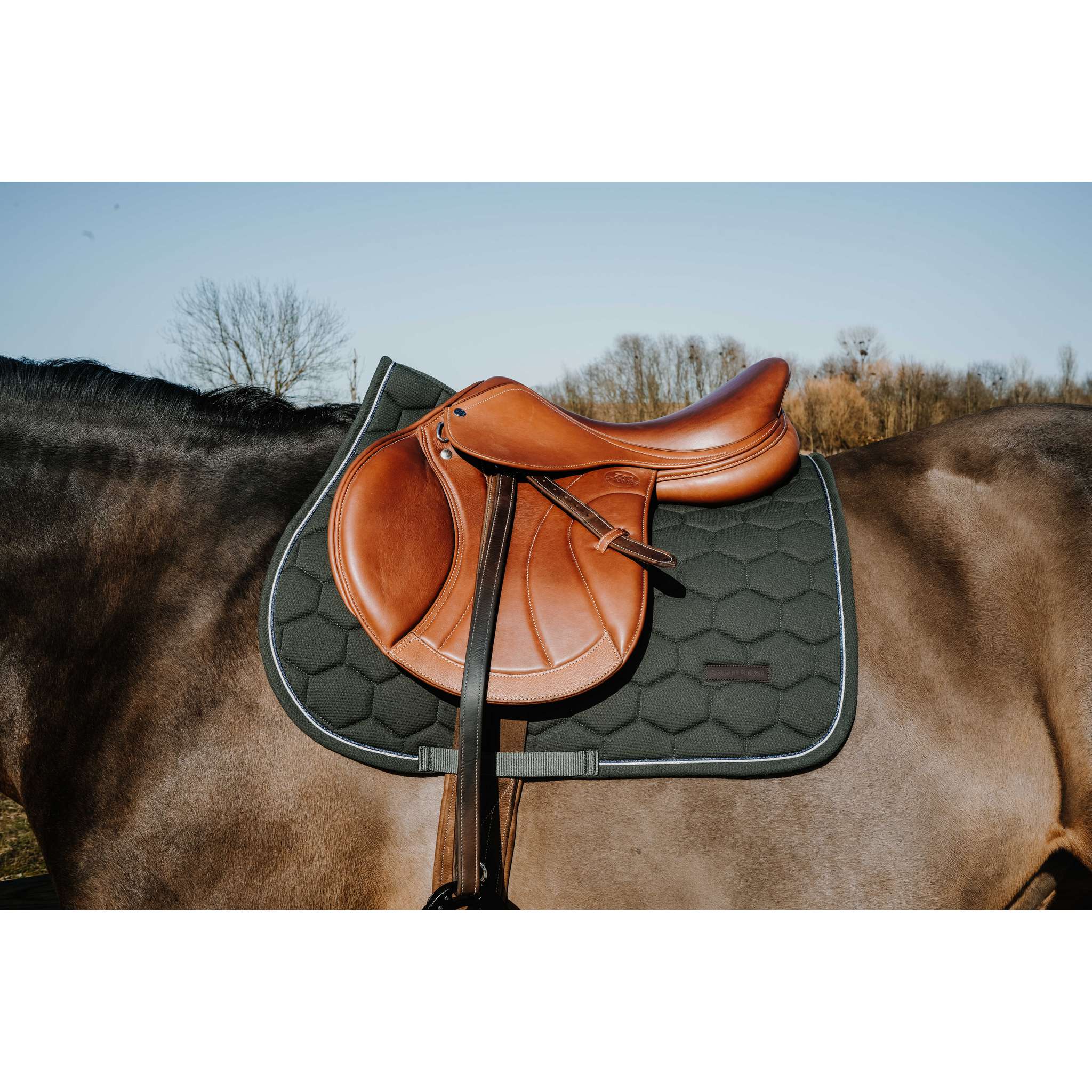 EQUITHÈME All-Purpose Saddle Pad - Honey Dark green - 204028009_ambi_2